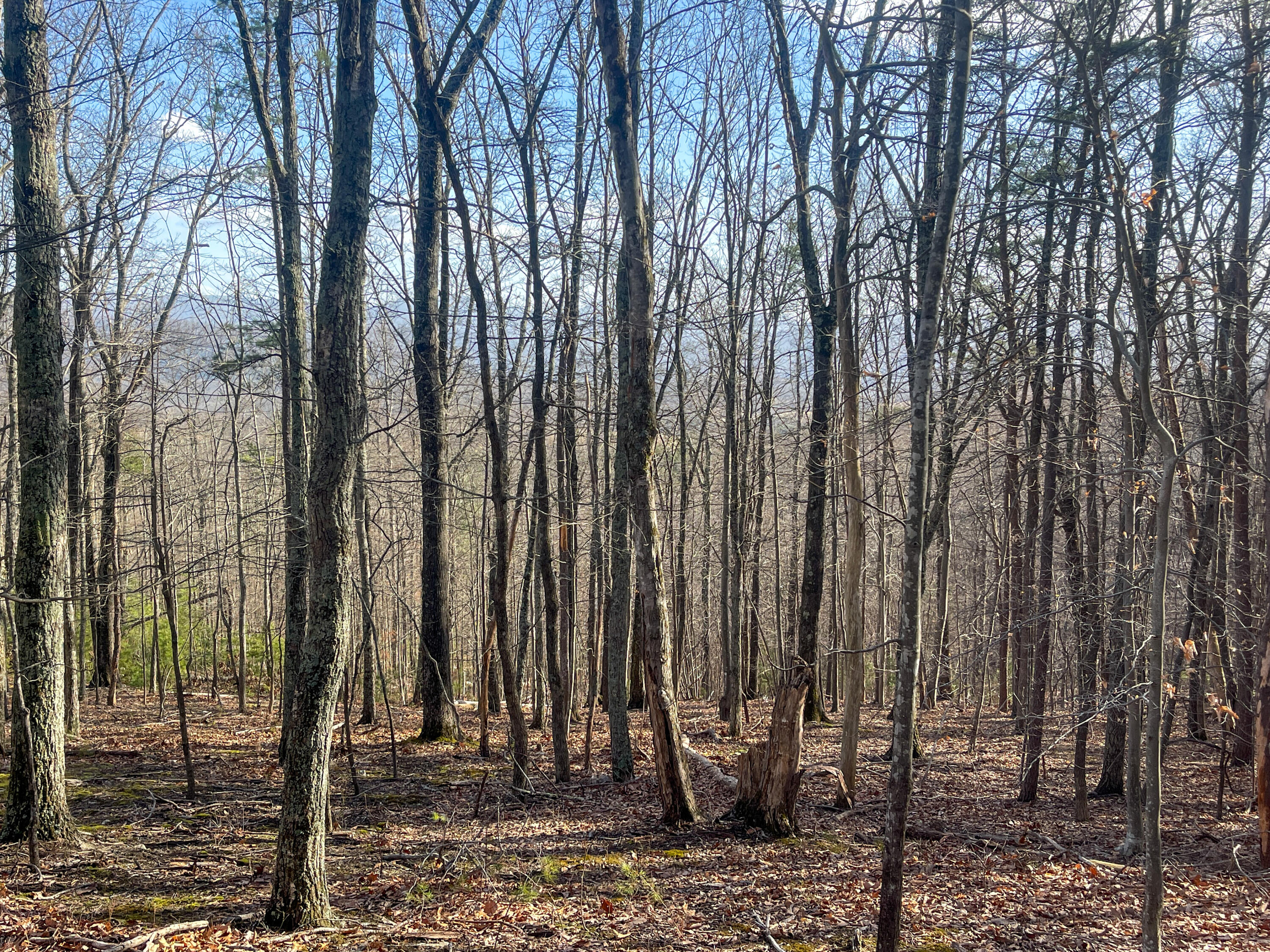 000 Short Hill Dr Unit: 13