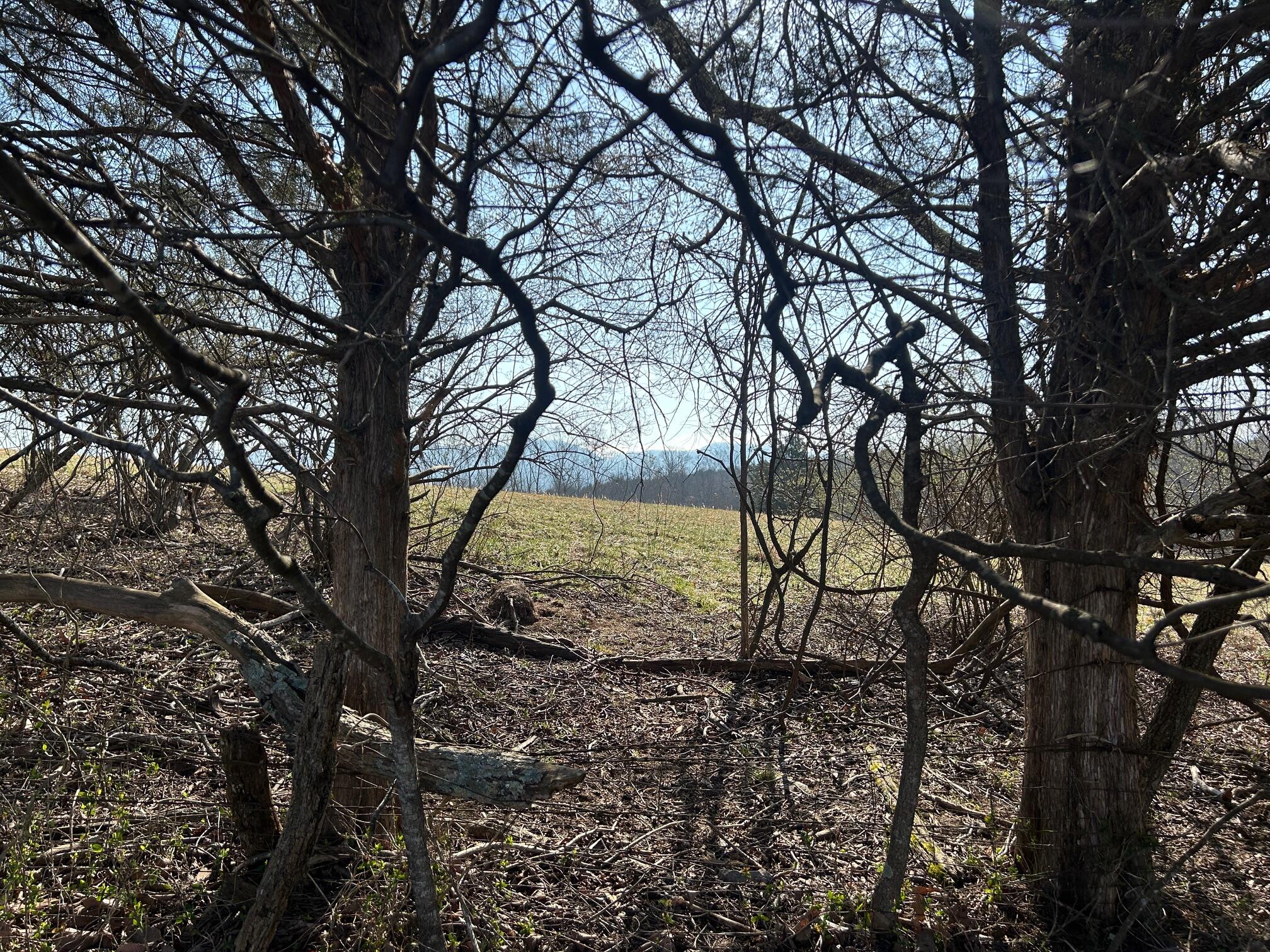 0 Longview Meadow Dr Unit: 16