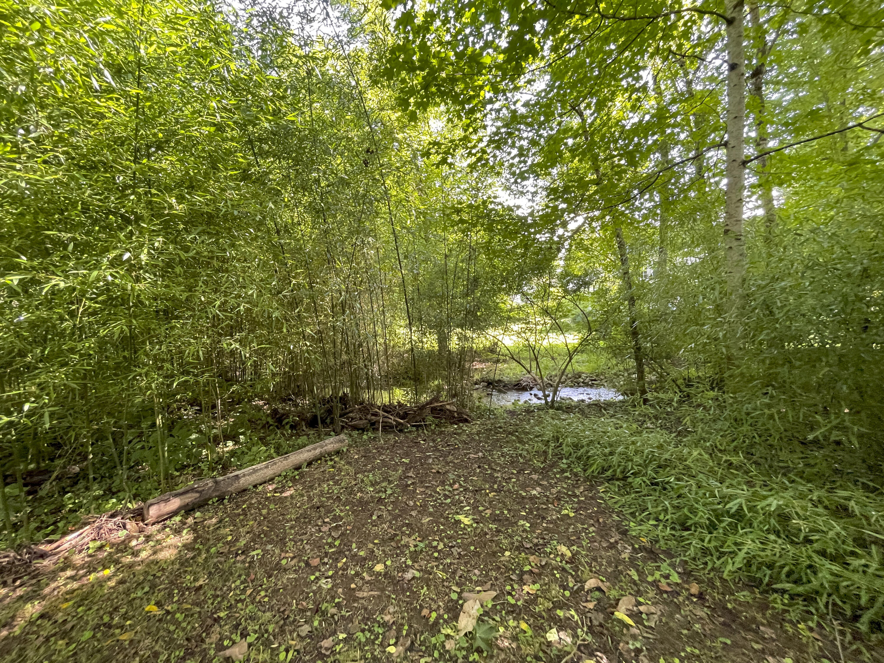 612 & 610 Stonewall St