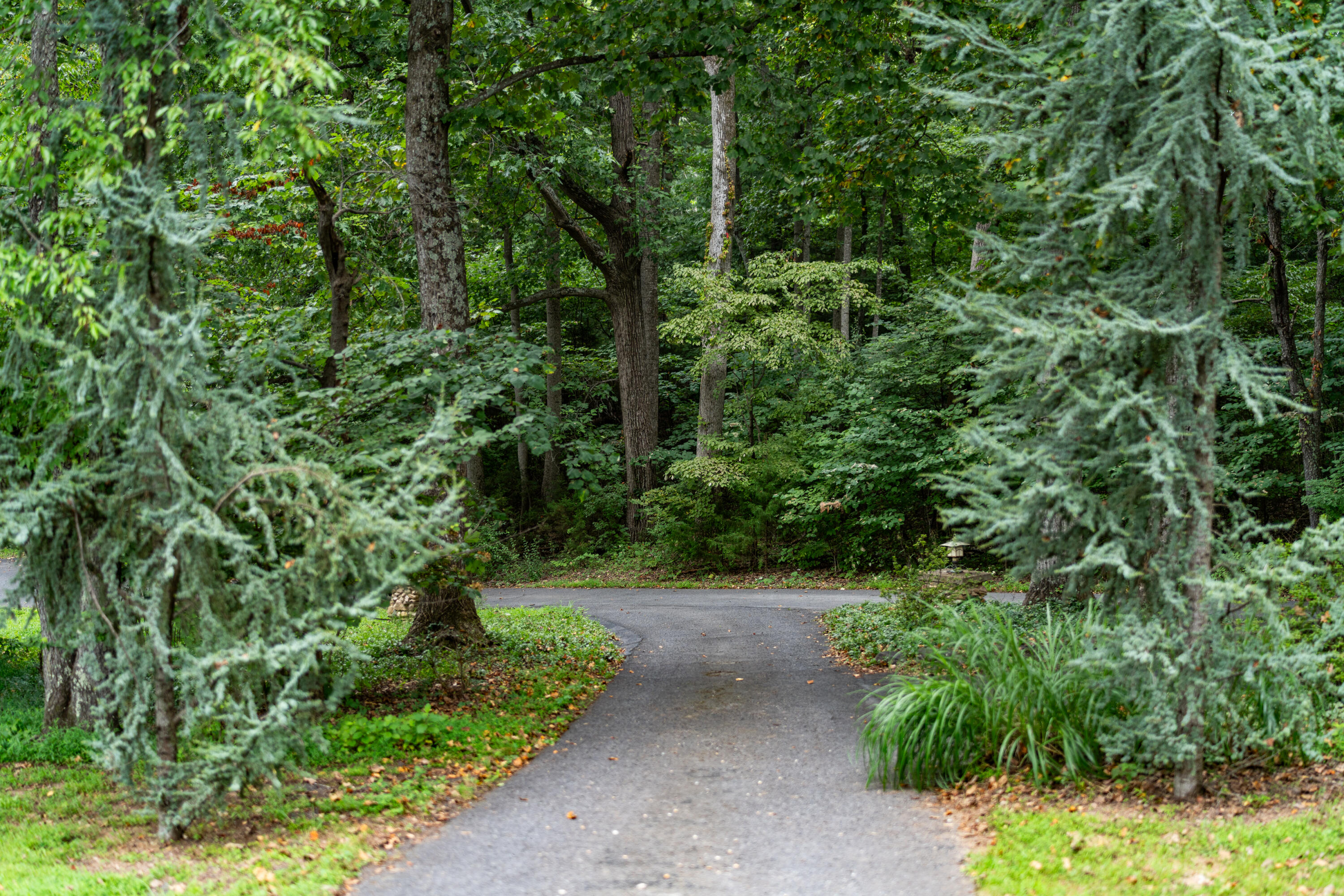 82 Ridgeview Ln
