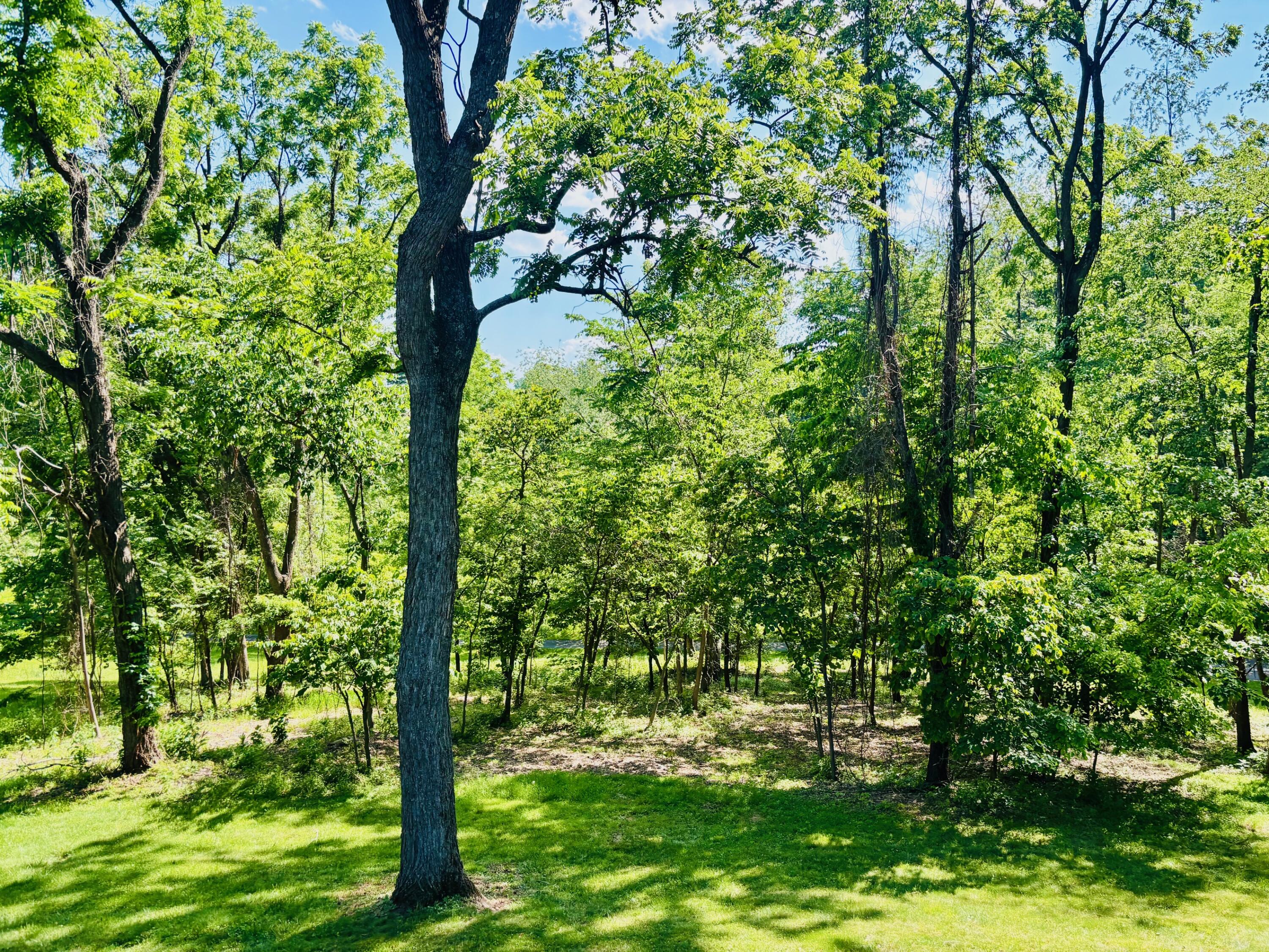 82 Ridgeview Ln