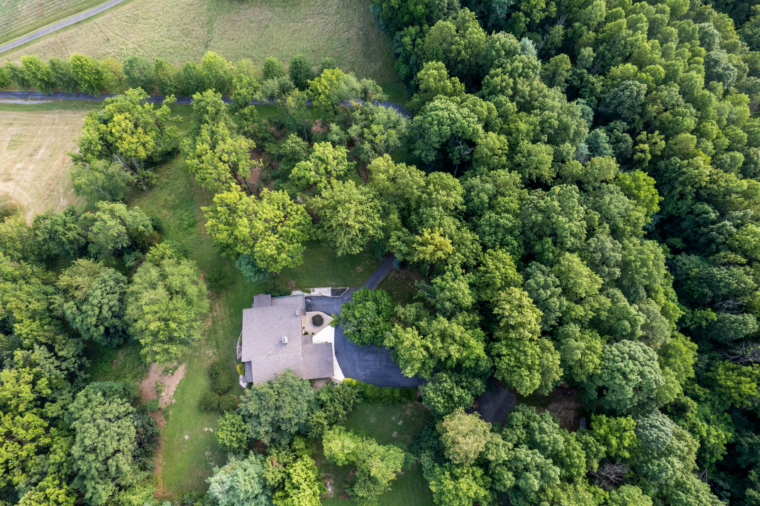 82 Ridgeview Ln