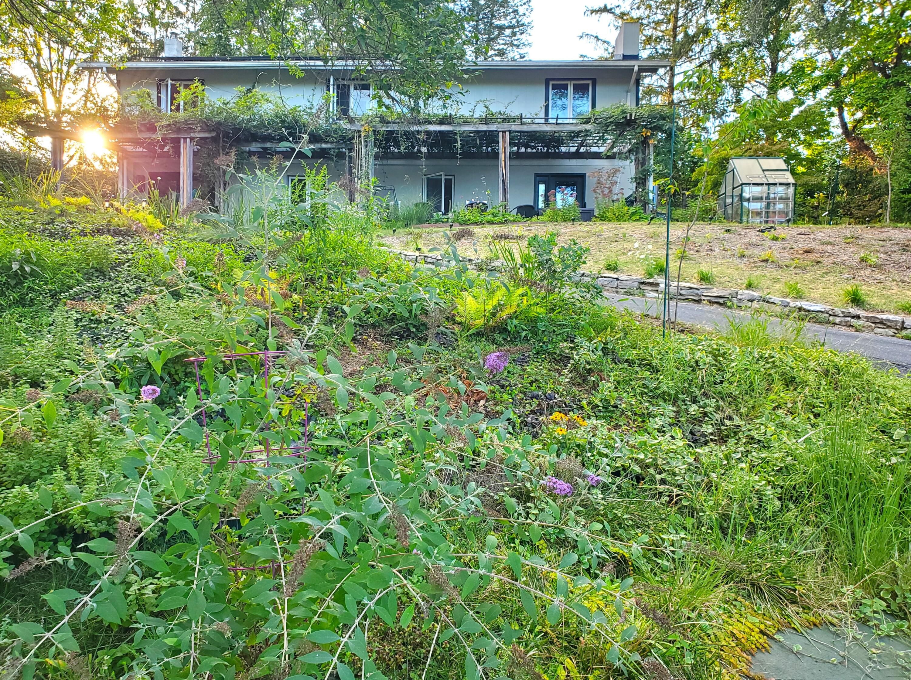 109 Rebel Ridge Rd
