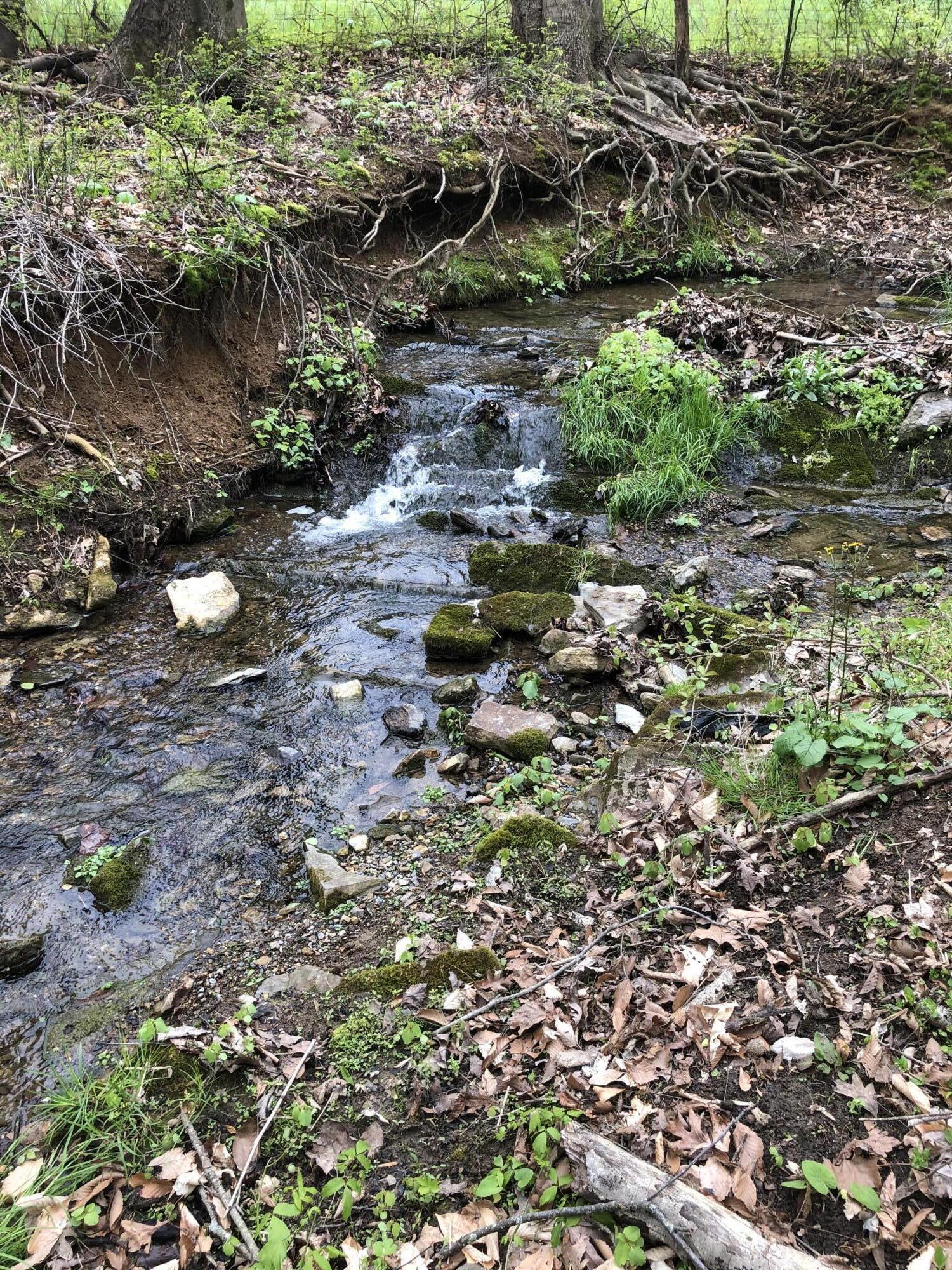 5.67 Acres Still Waters Ln