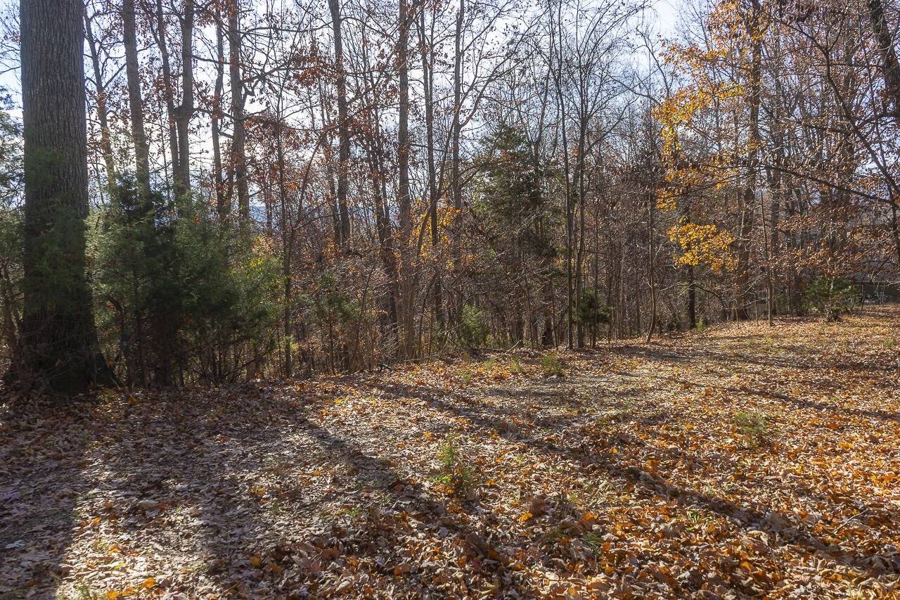 5.67 Acres Still Waters Ln