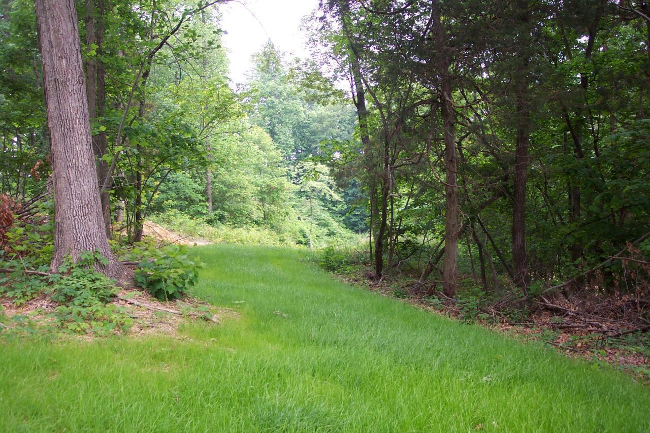 5.67 Acres Still Waters Ln