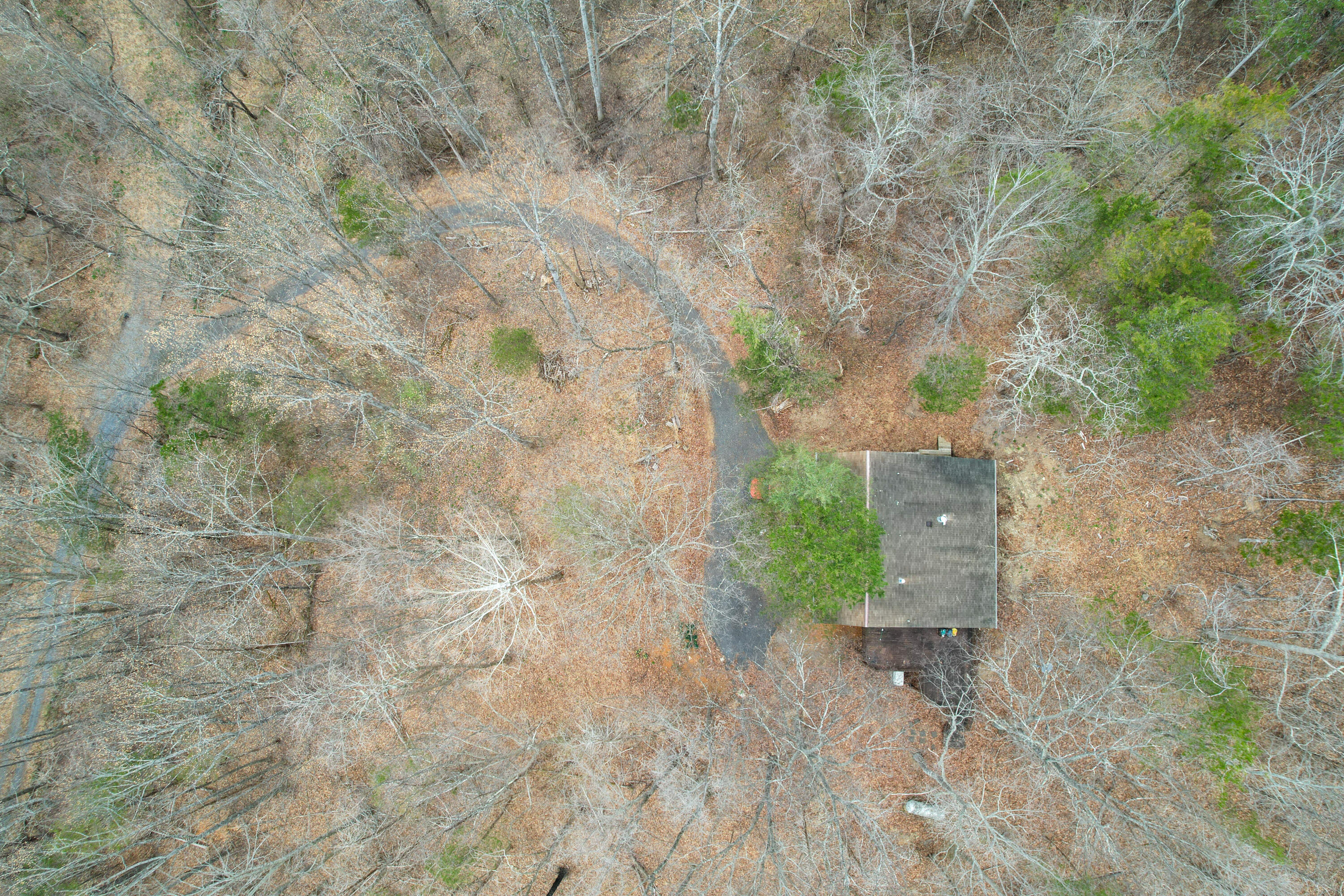 448 HOLLOW Ln