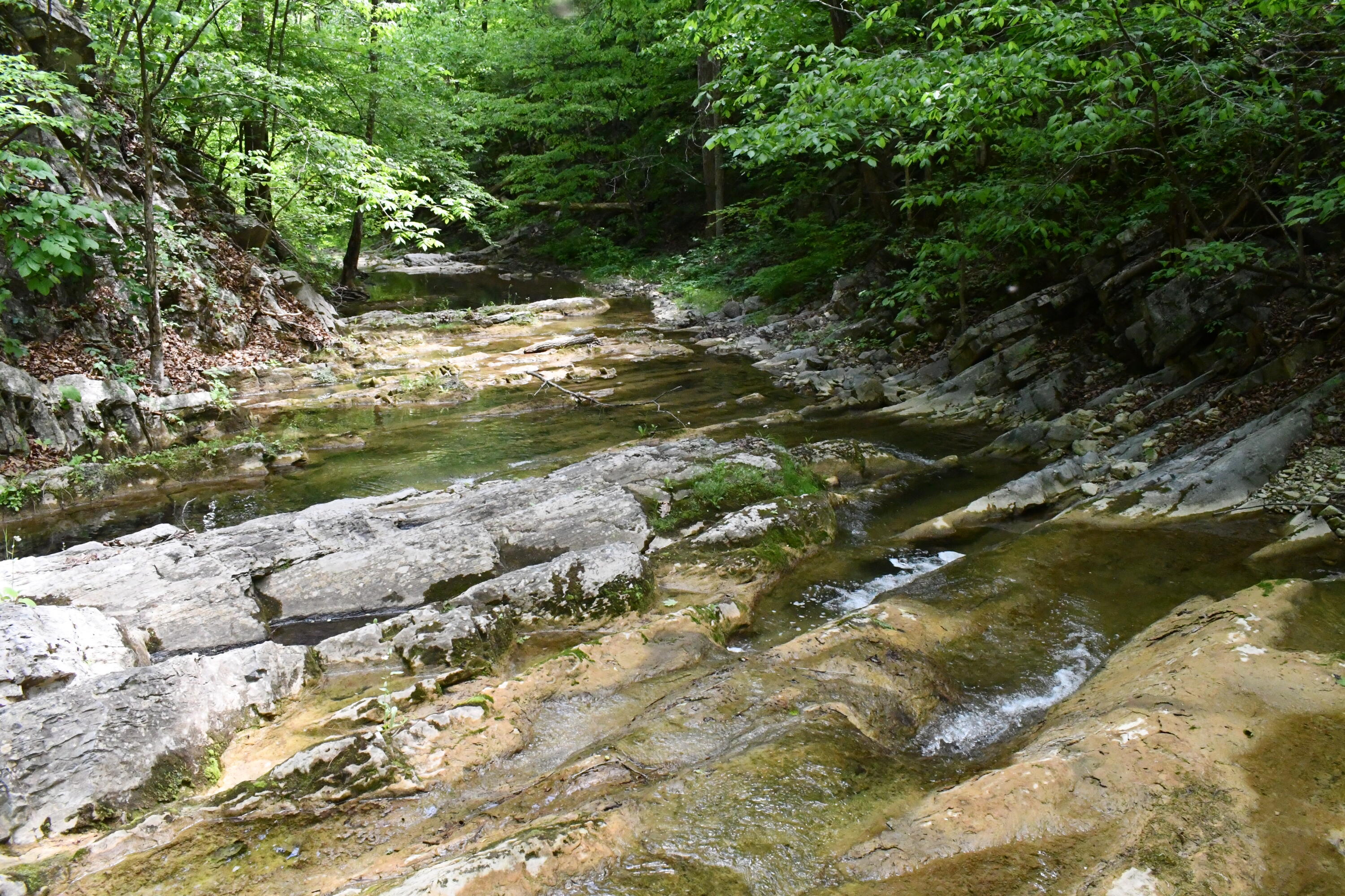 TBD 6.25 acres Indian Rock Rd.