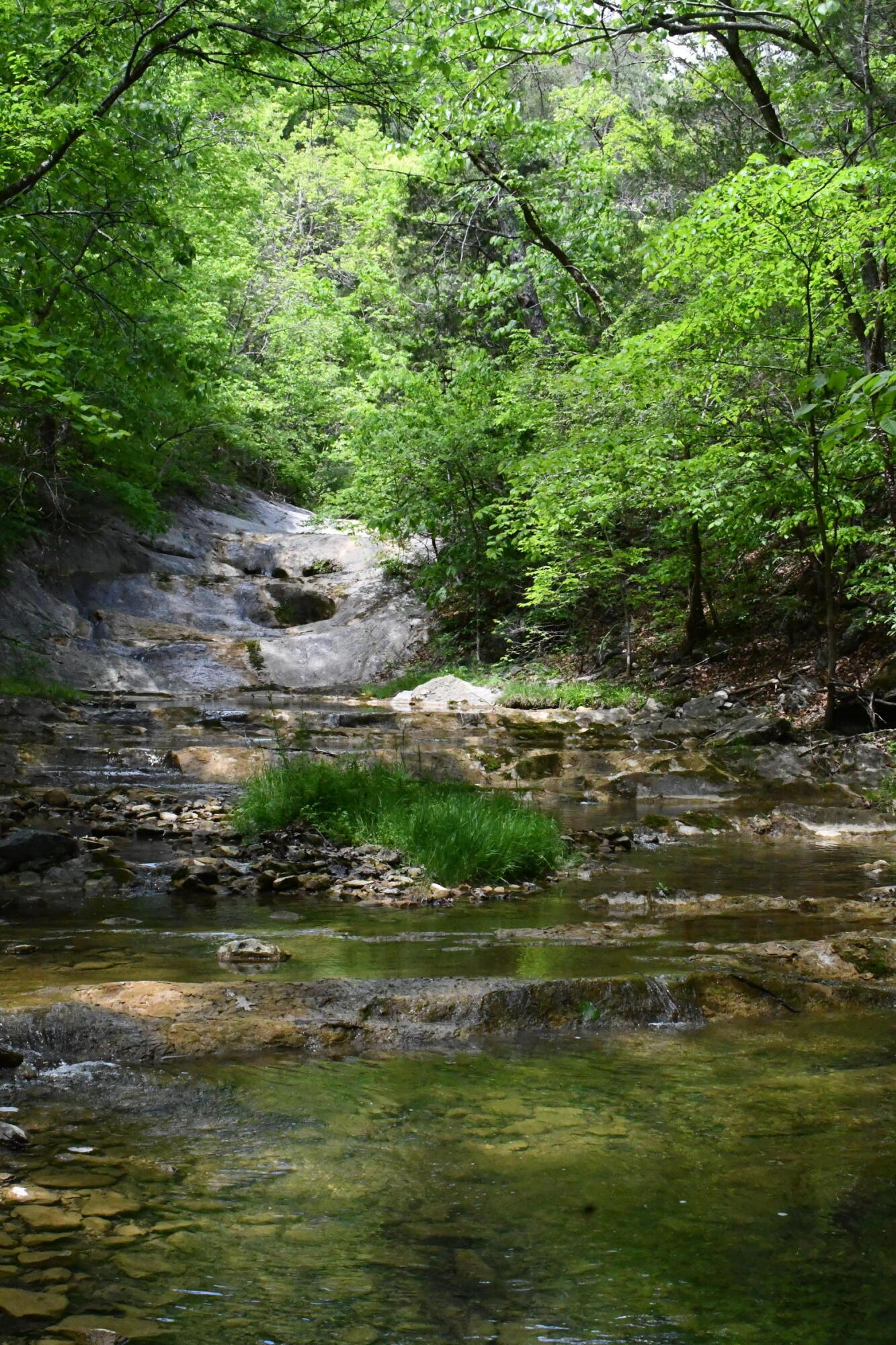 TBD 6.25 acres Indian Rock Rd.