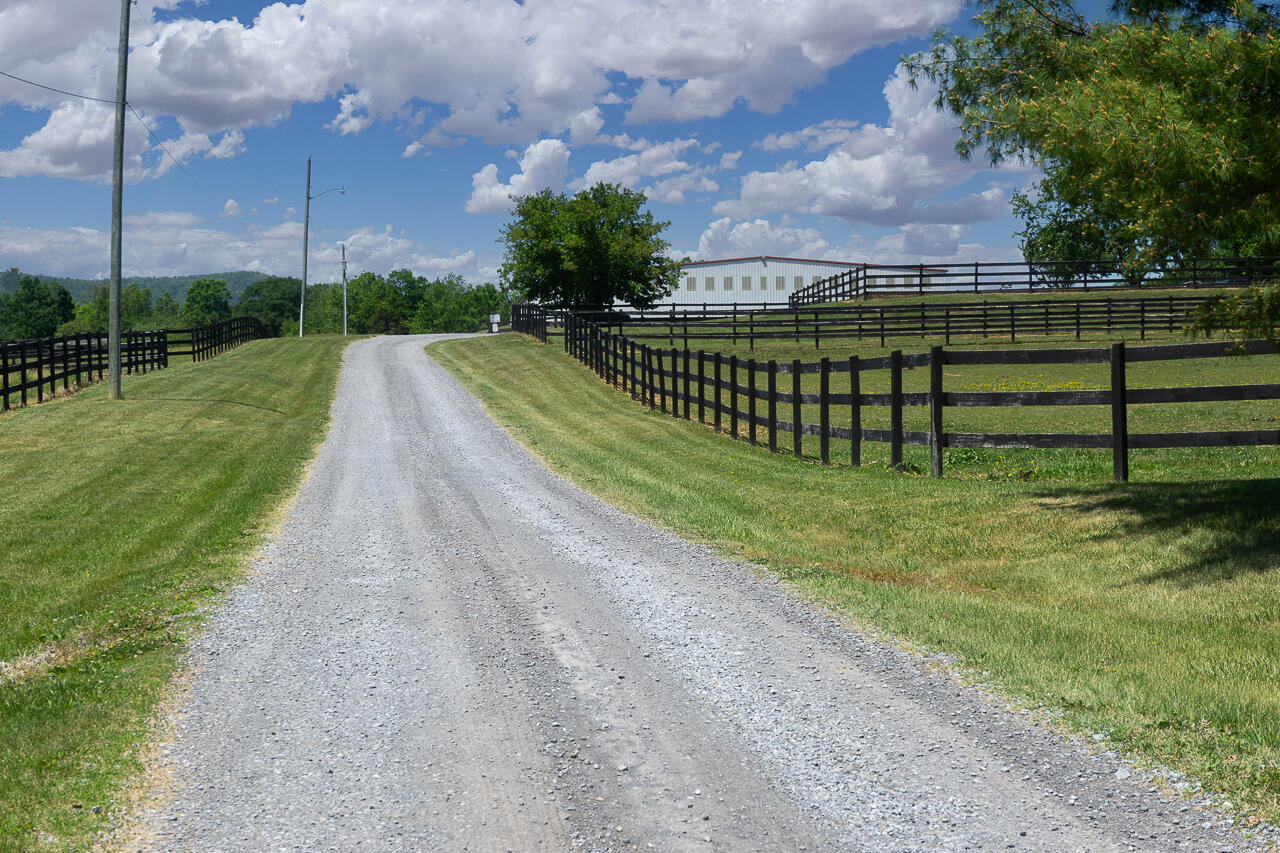100 Equus Lp