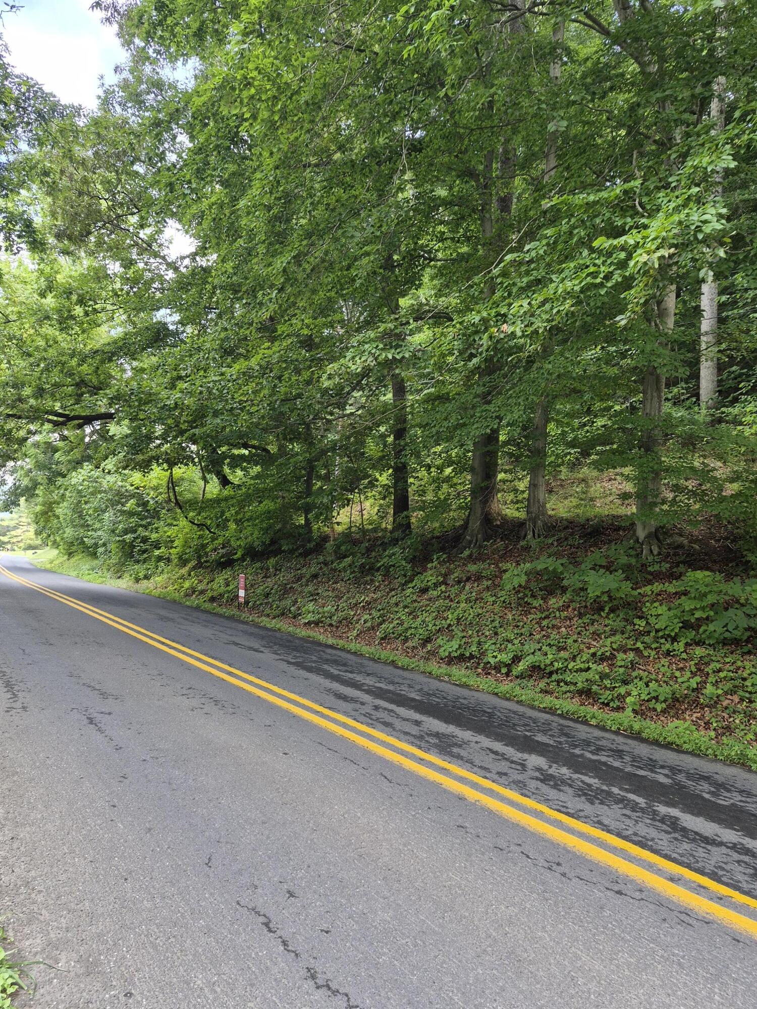 TBD Blue Ridge Rd