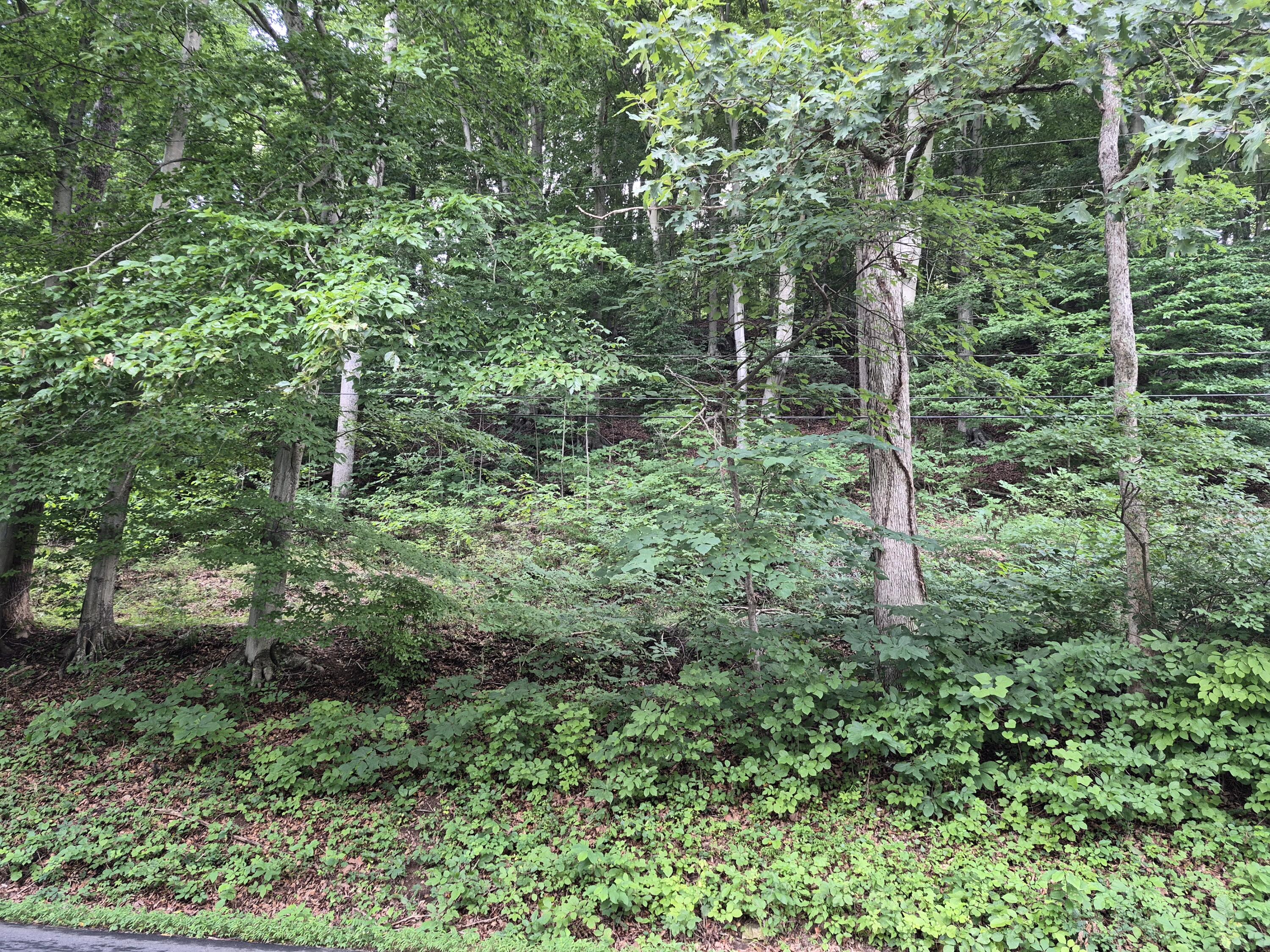 TBD Blue Ridge Rd