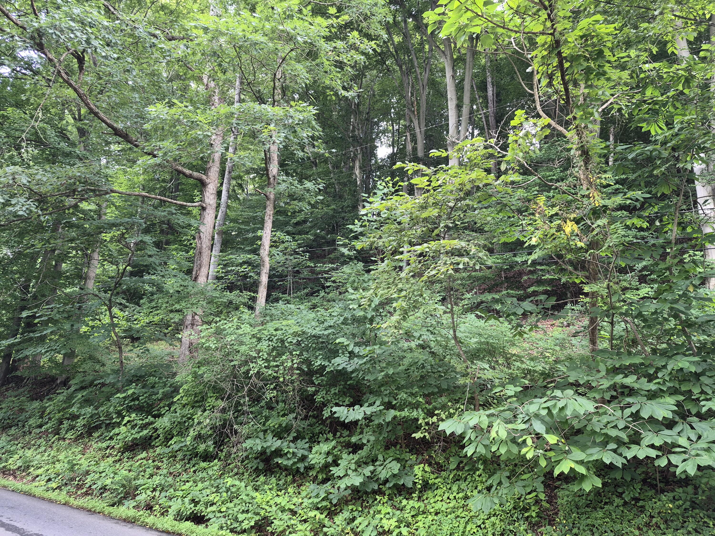 TBD Blue Ridge Rd