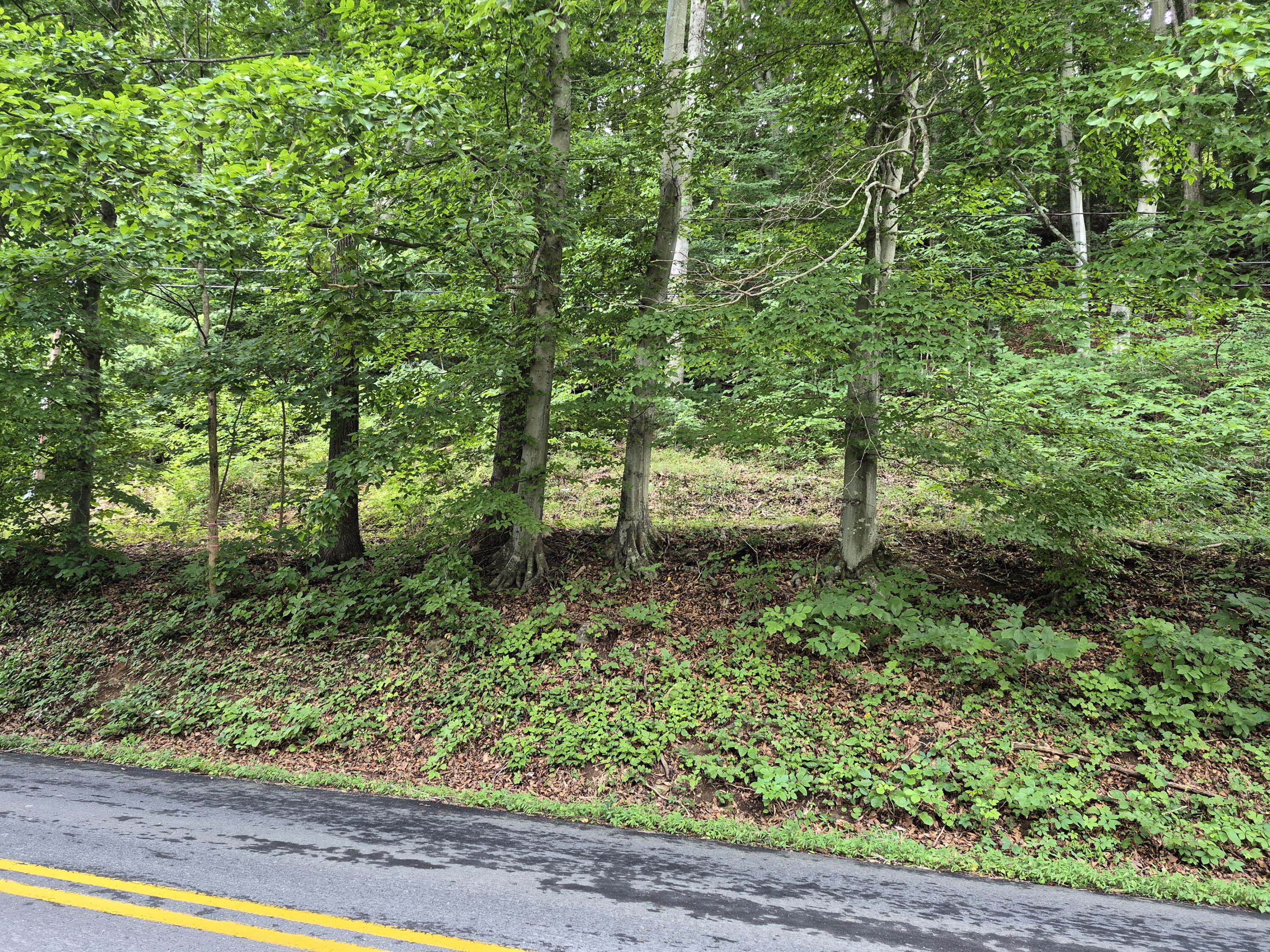 TBD Blue Ridge Rd