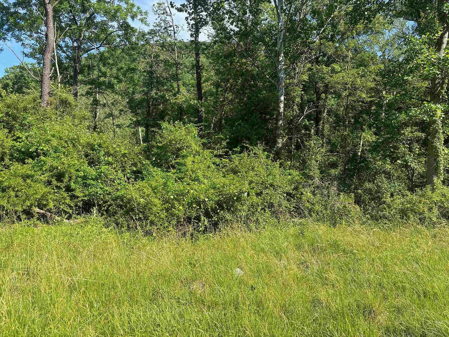 TBD 1.99 Parkersburg Tpke