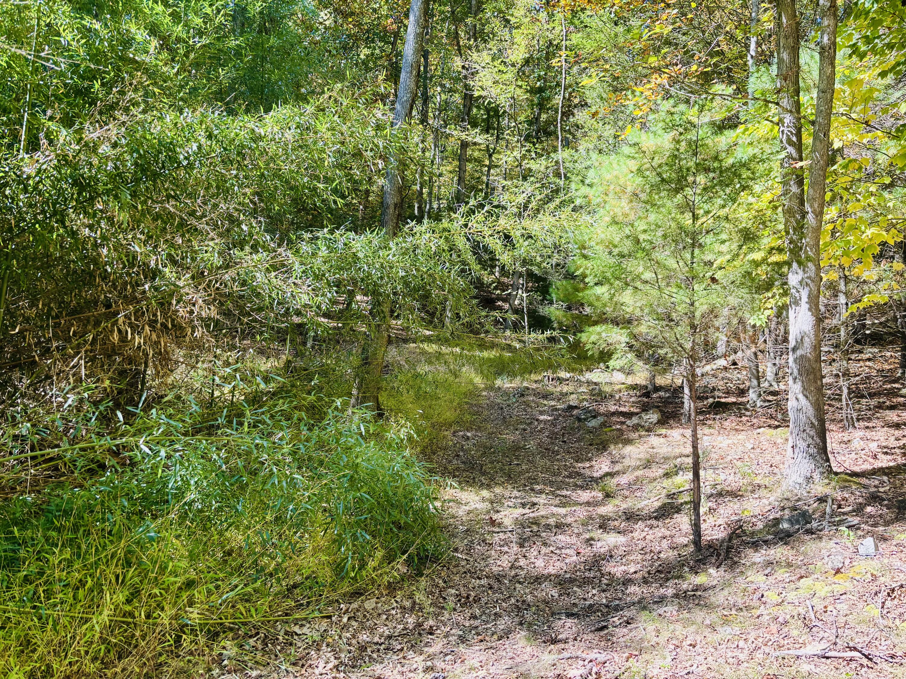 6537 Mill Creek Rd