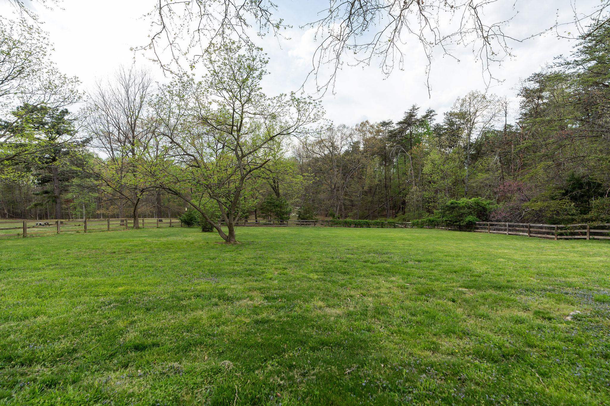 1628 BLACK CAT RD