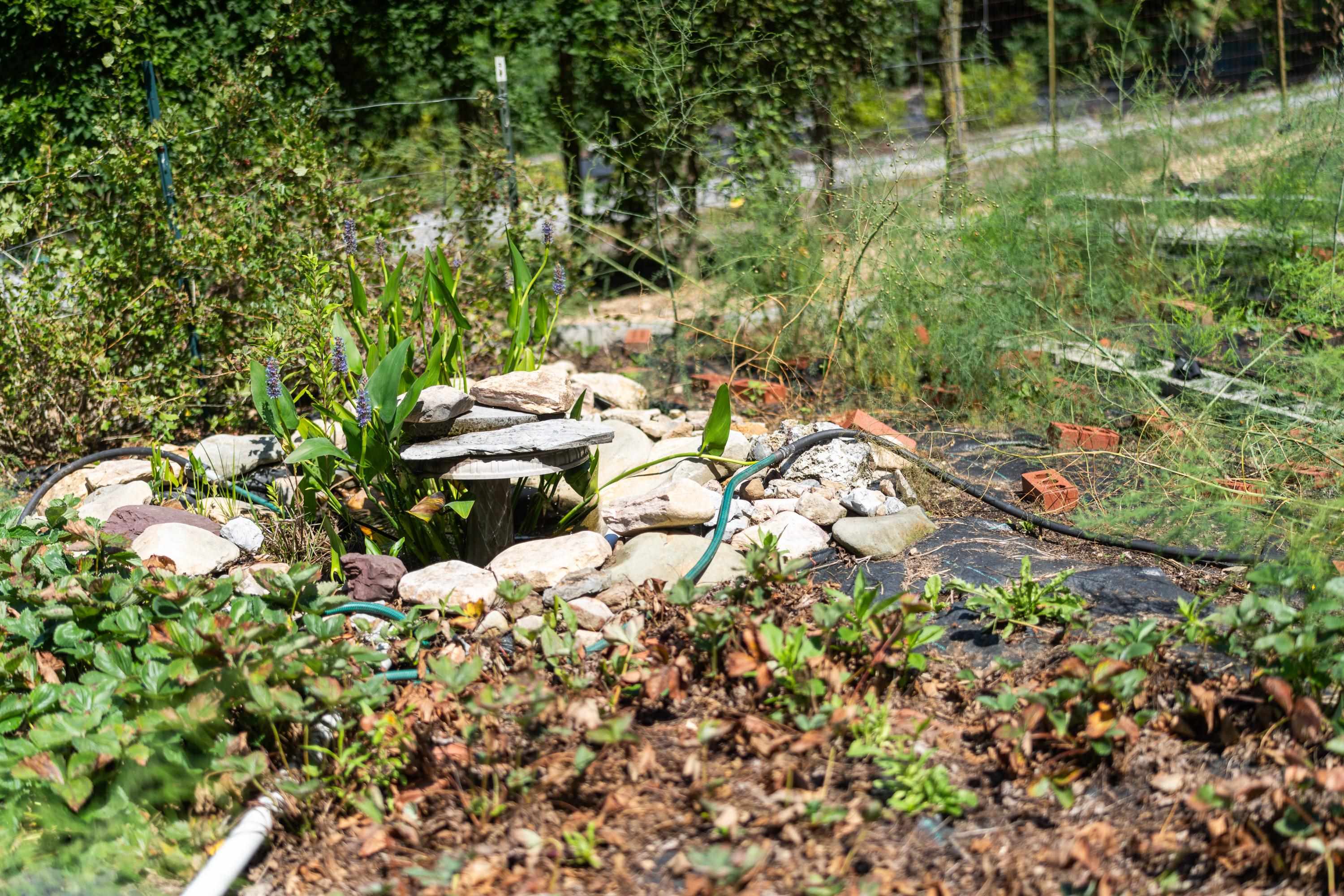 801 BROADHEAD SCHOOL RD