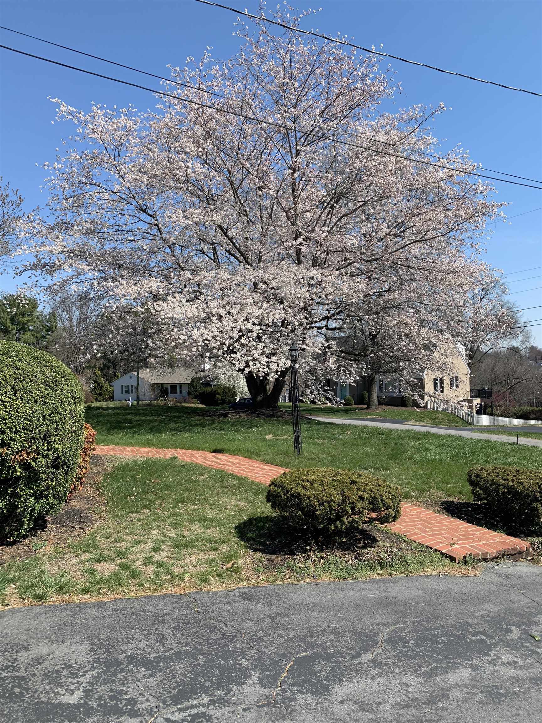 1016 WESTMORELAND DR