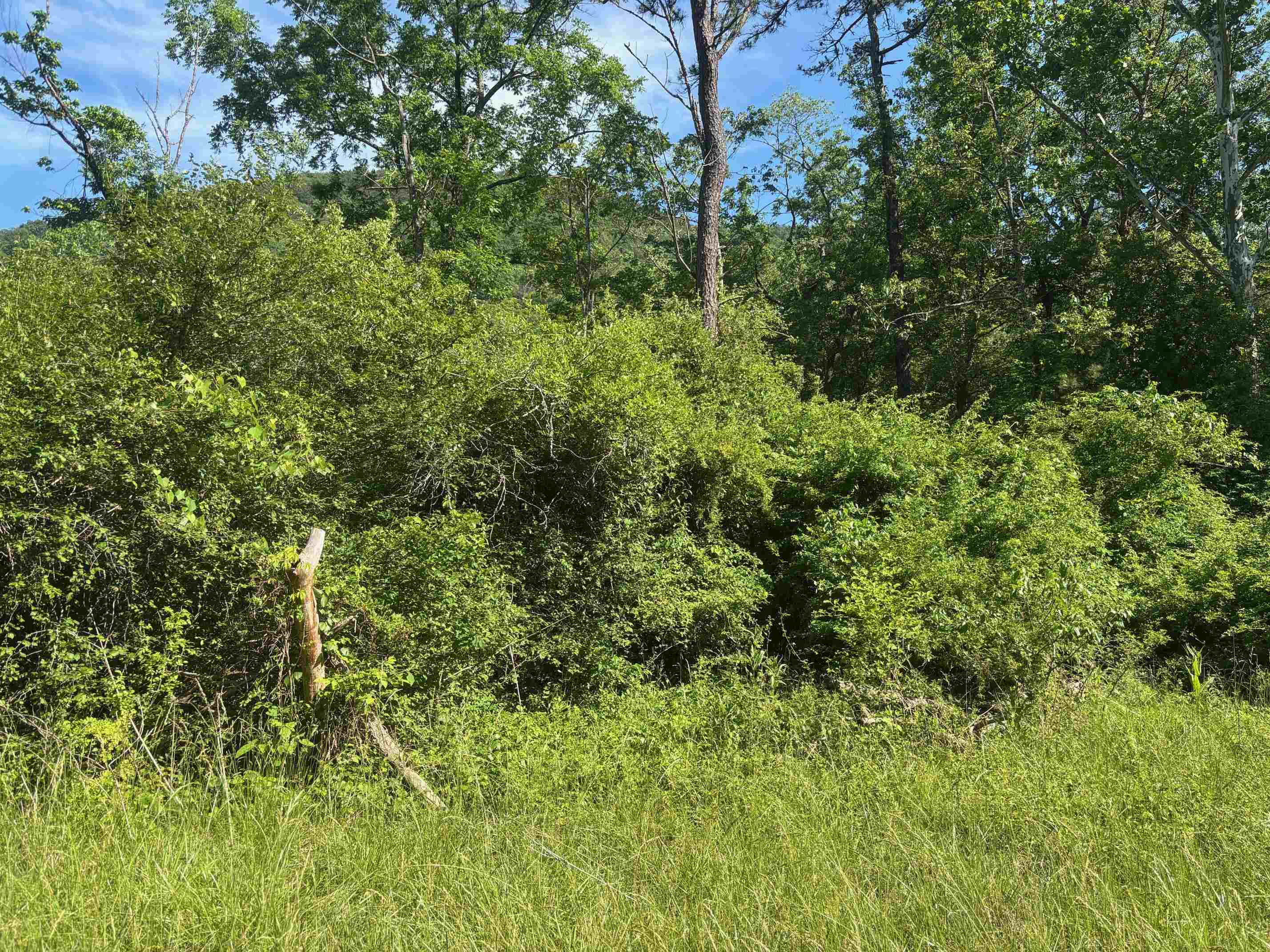 TBD 1.99 Acres PARKERSBURG TPKE