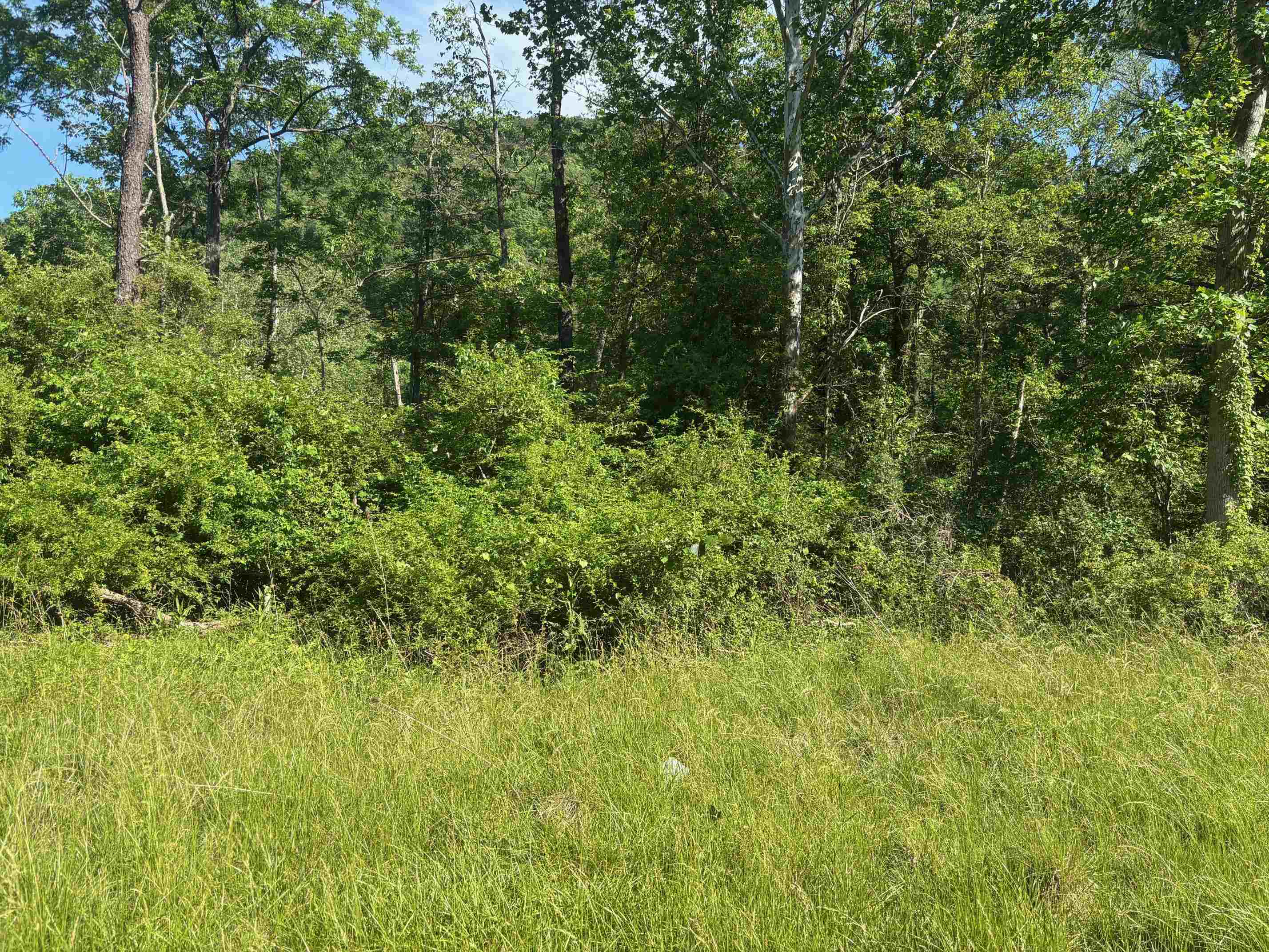 TBD 1.99 Acres PARKERSBURG TPKE