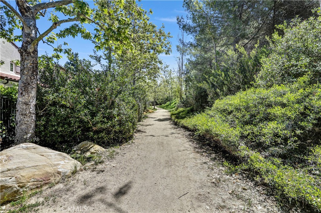 86 Canyoncrest