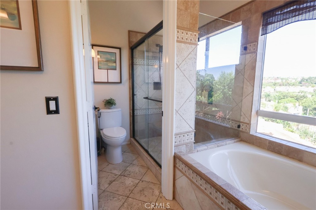 28462 La Plumosa