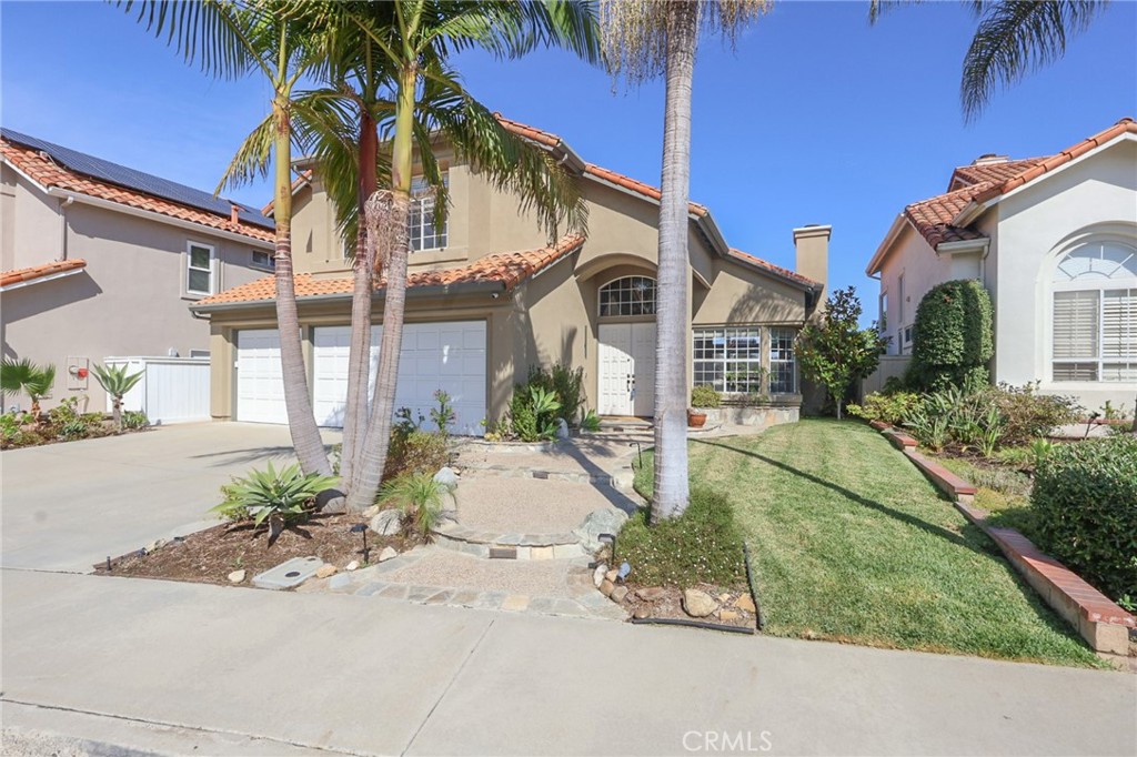 28462 La Plumosa