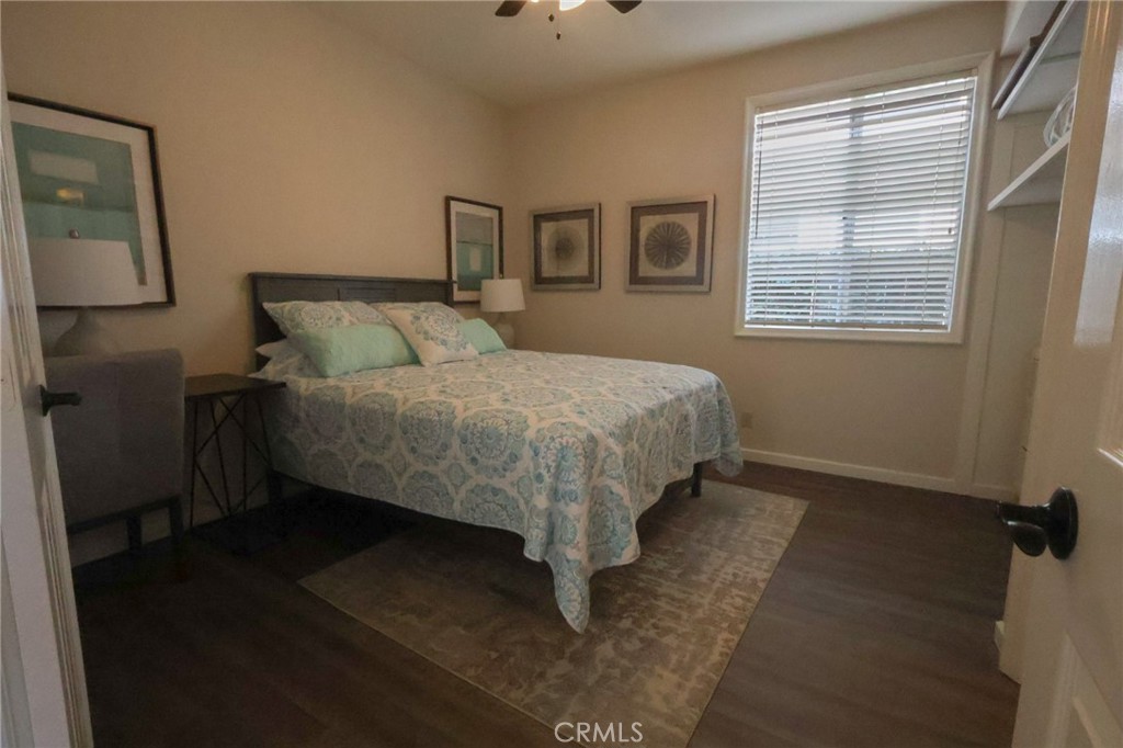 28462 La Plumosa