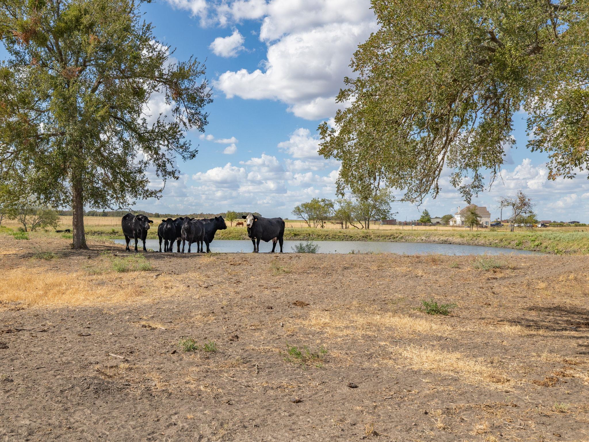 1801 County Road 470, Coupland