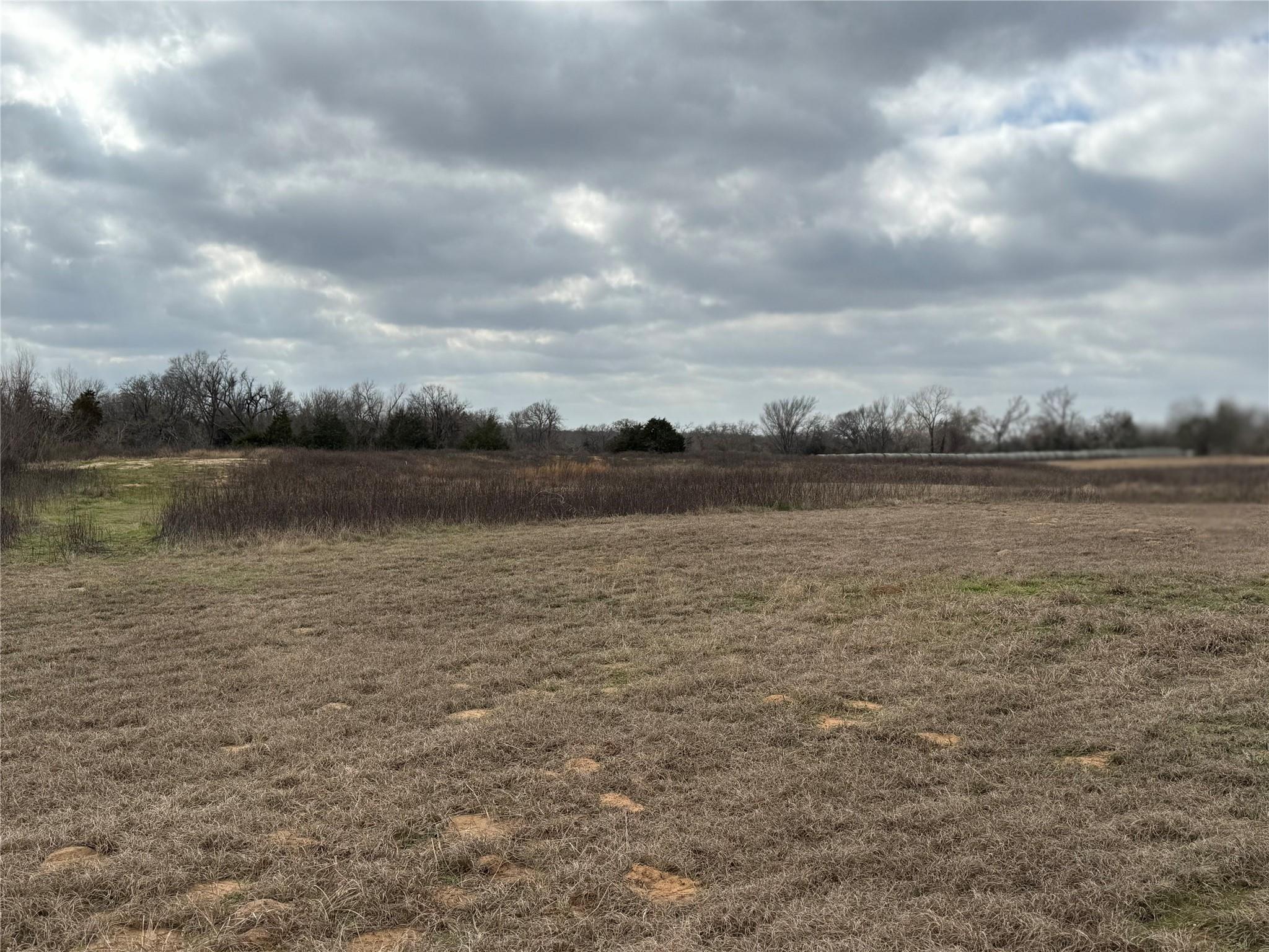 1500 County Road 481