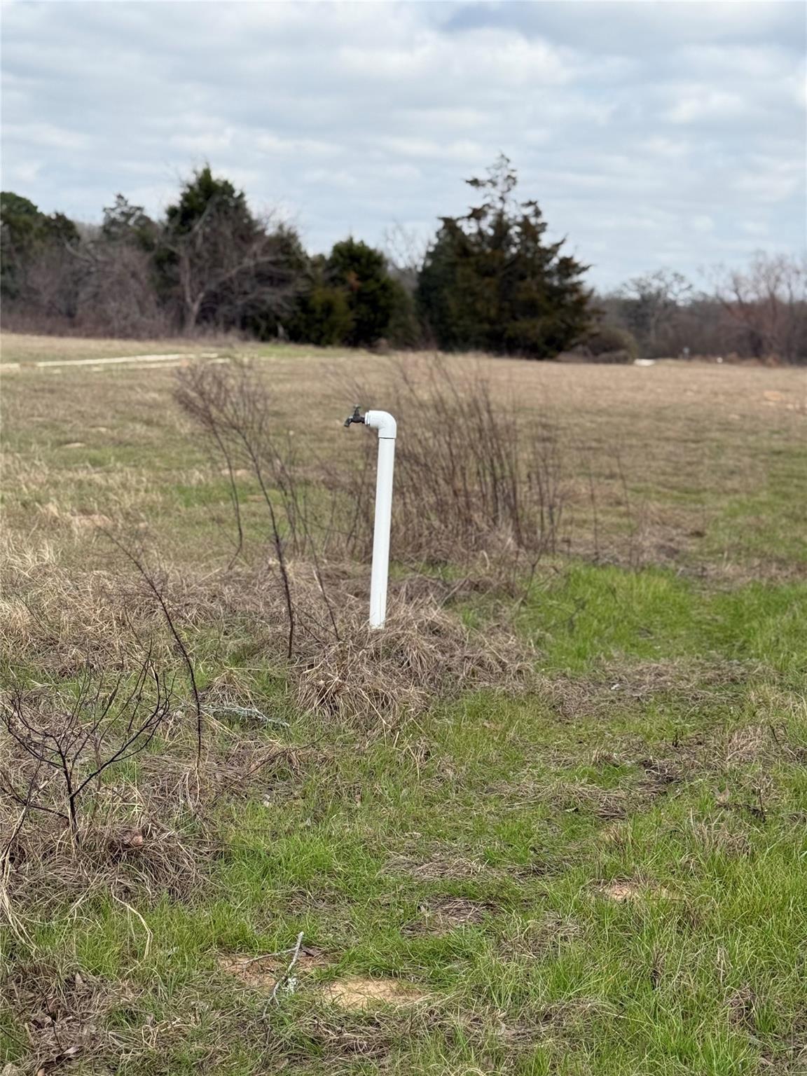 1500 County Road 481