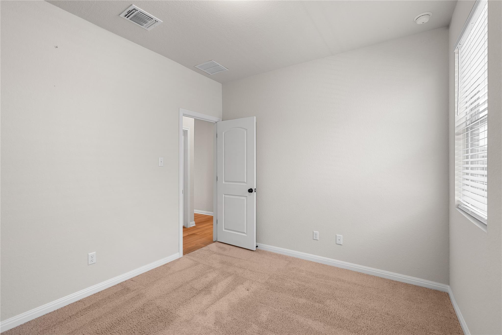807 Gray Fox LOOP