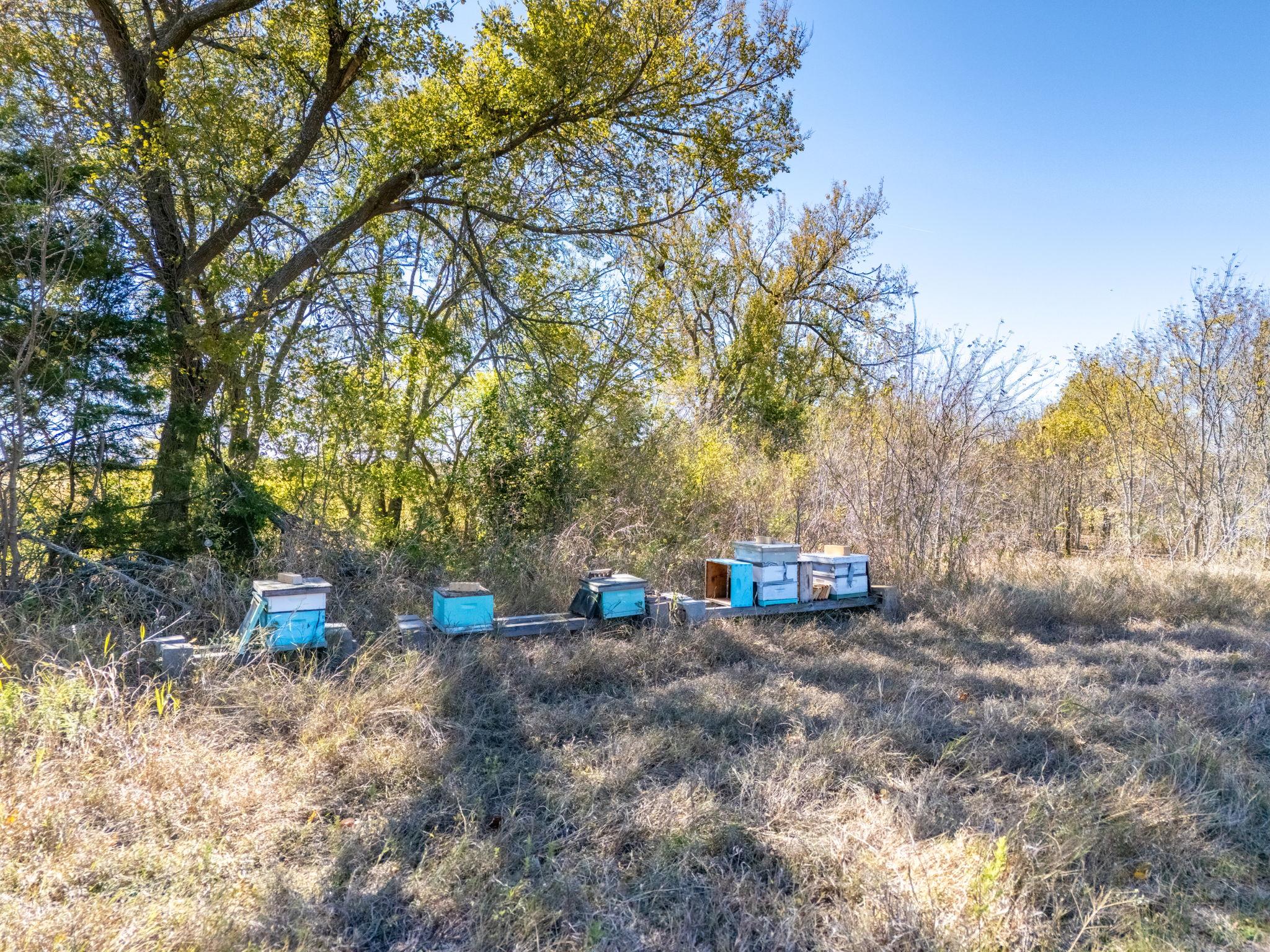 1150 County Road 432