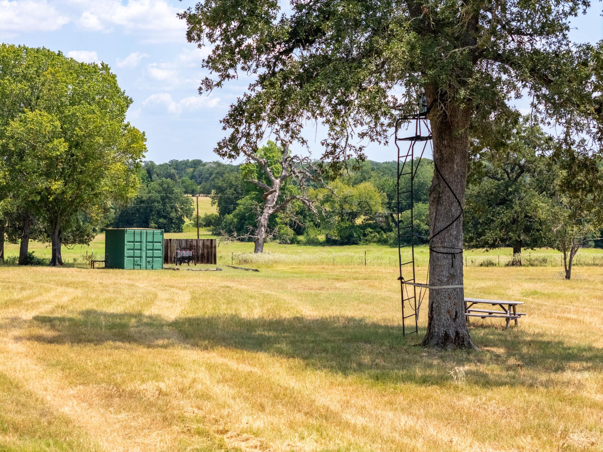 1045 Private Road 7005, Lexington