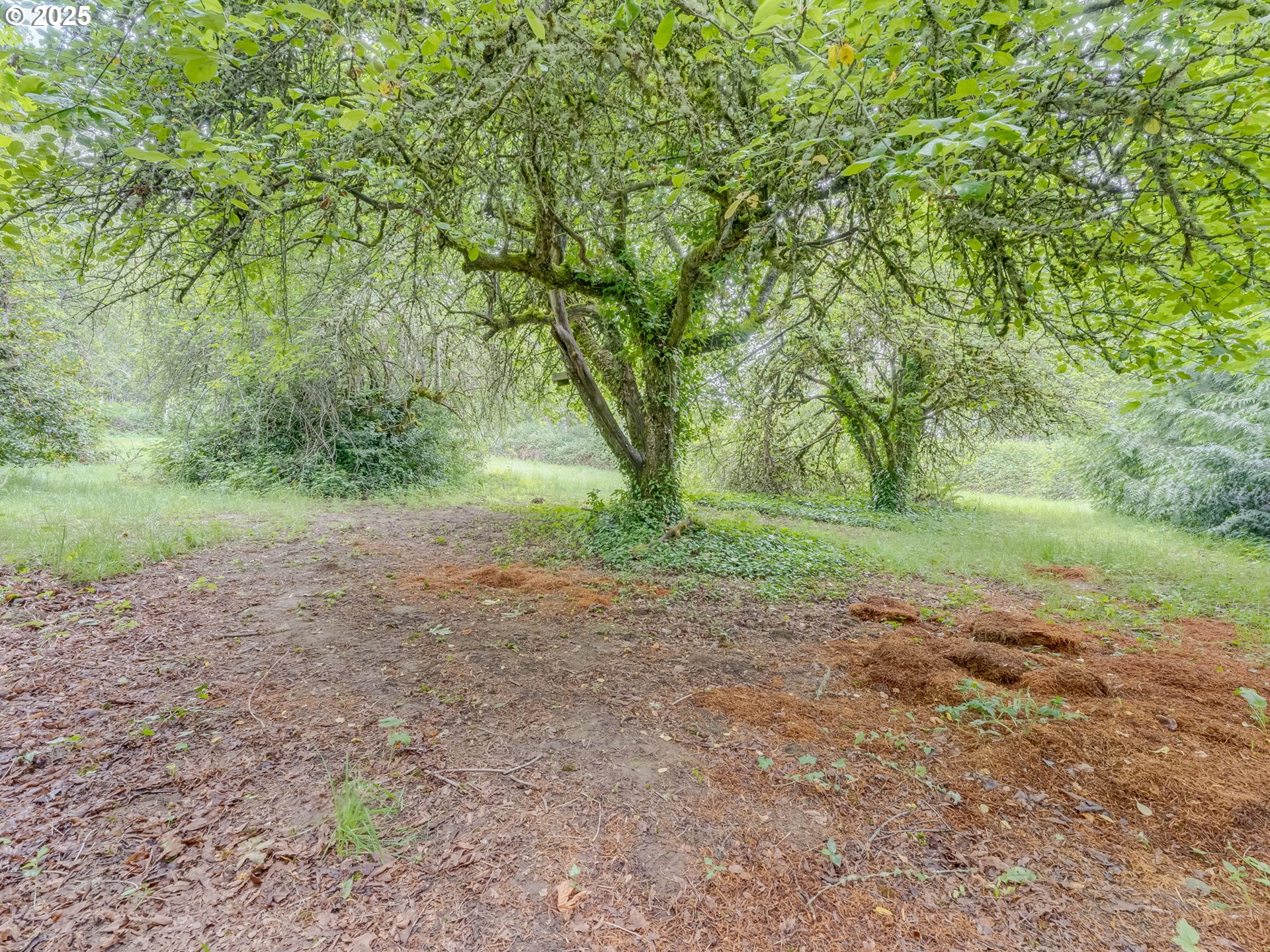 6801 SE PLEASANT HOME RD