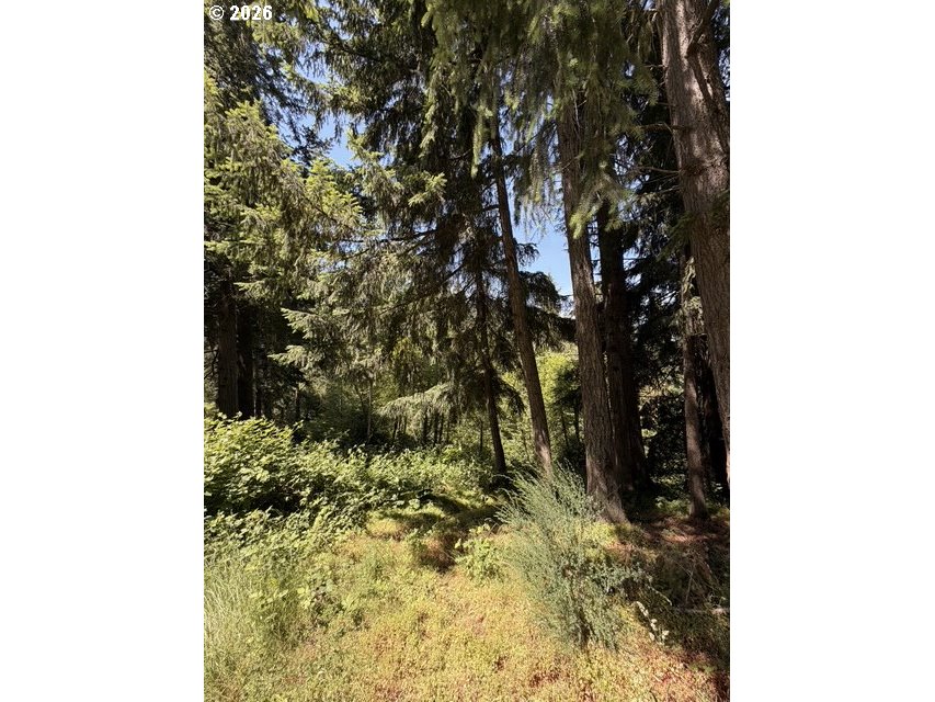 18243 S BOGYNSKI RD