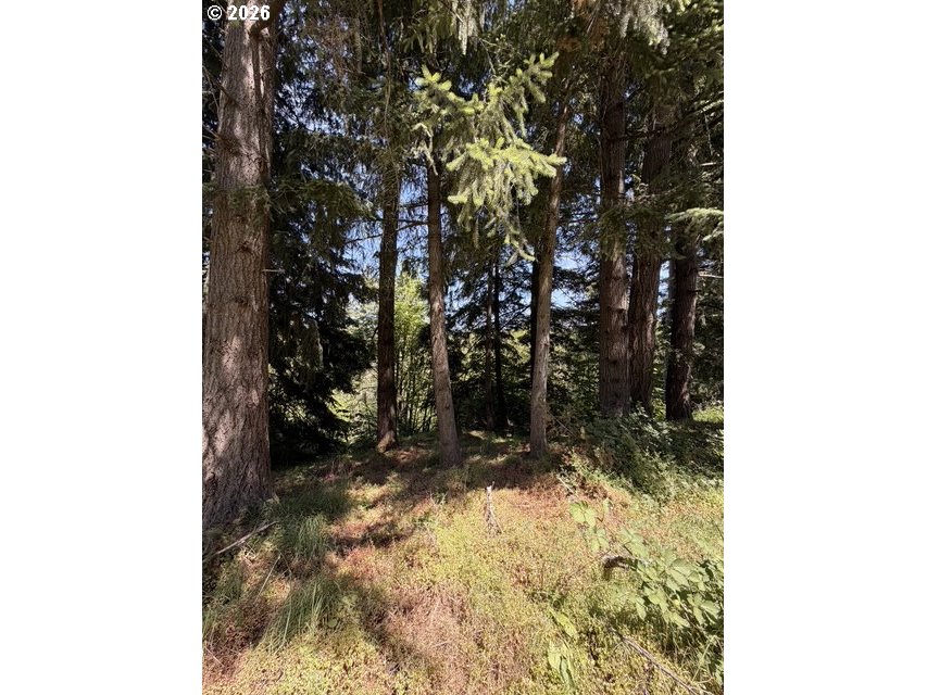18243 S BOGYNSKI RD