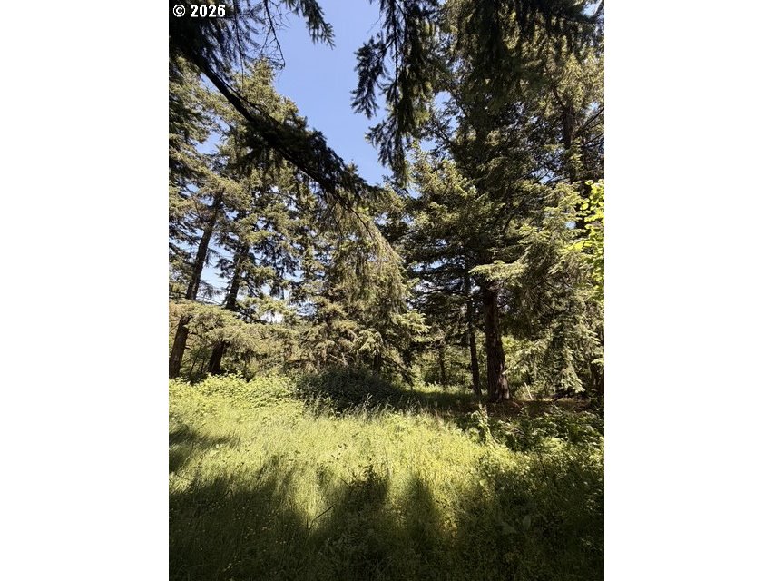 18243 S BOGYNSKI RD