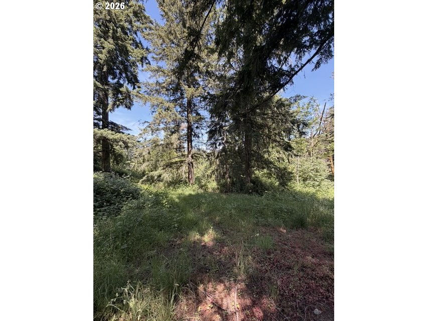 18243 S BOGYNSKI RD