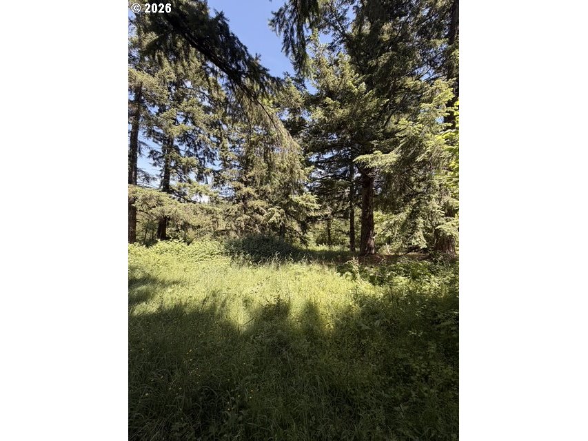18243 S BOGYNSKI RD