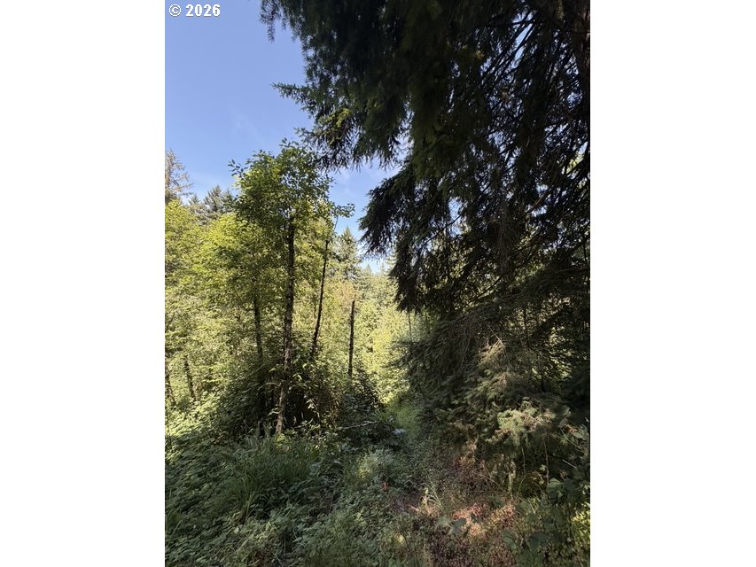 18243 S BOGYNSKI RD