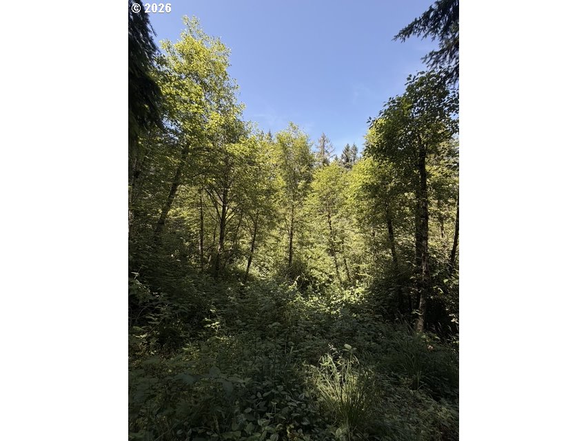 18243 S BOGYNSKI RD