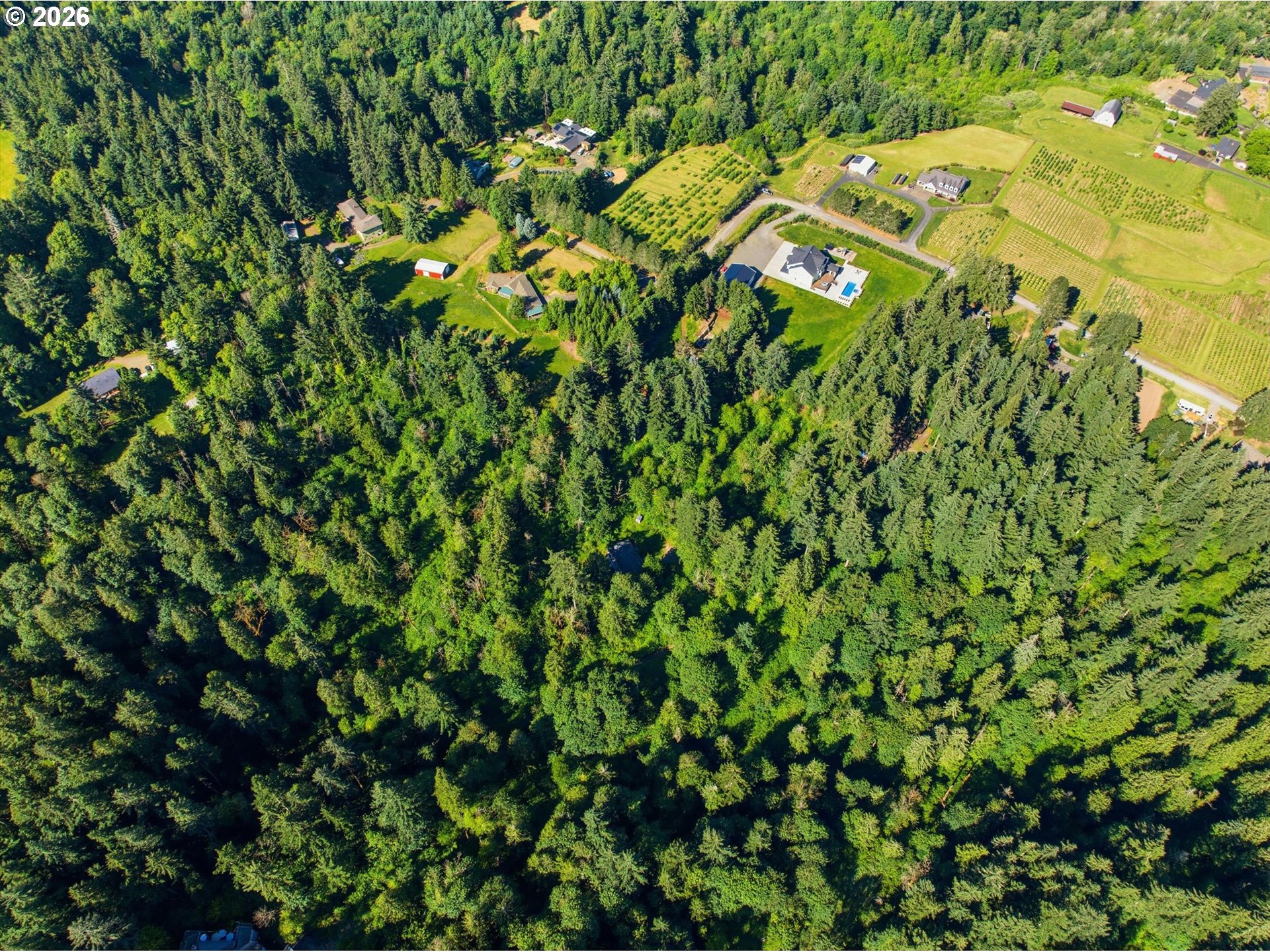 18243 S BOGYNSKI RD