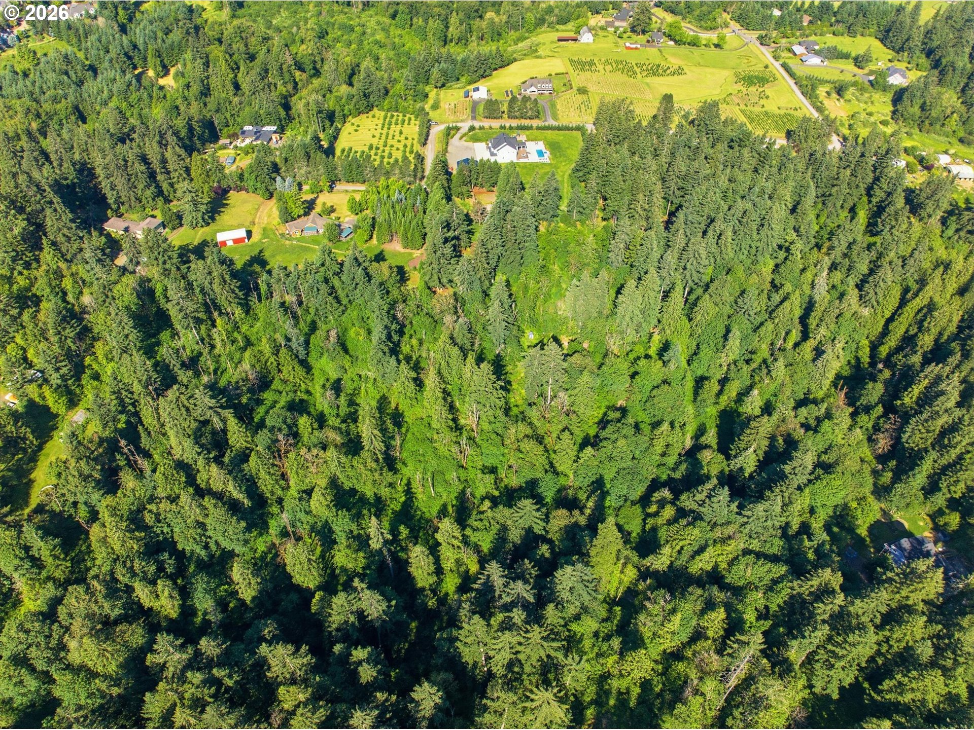 18243 S BOGYNSKI RD