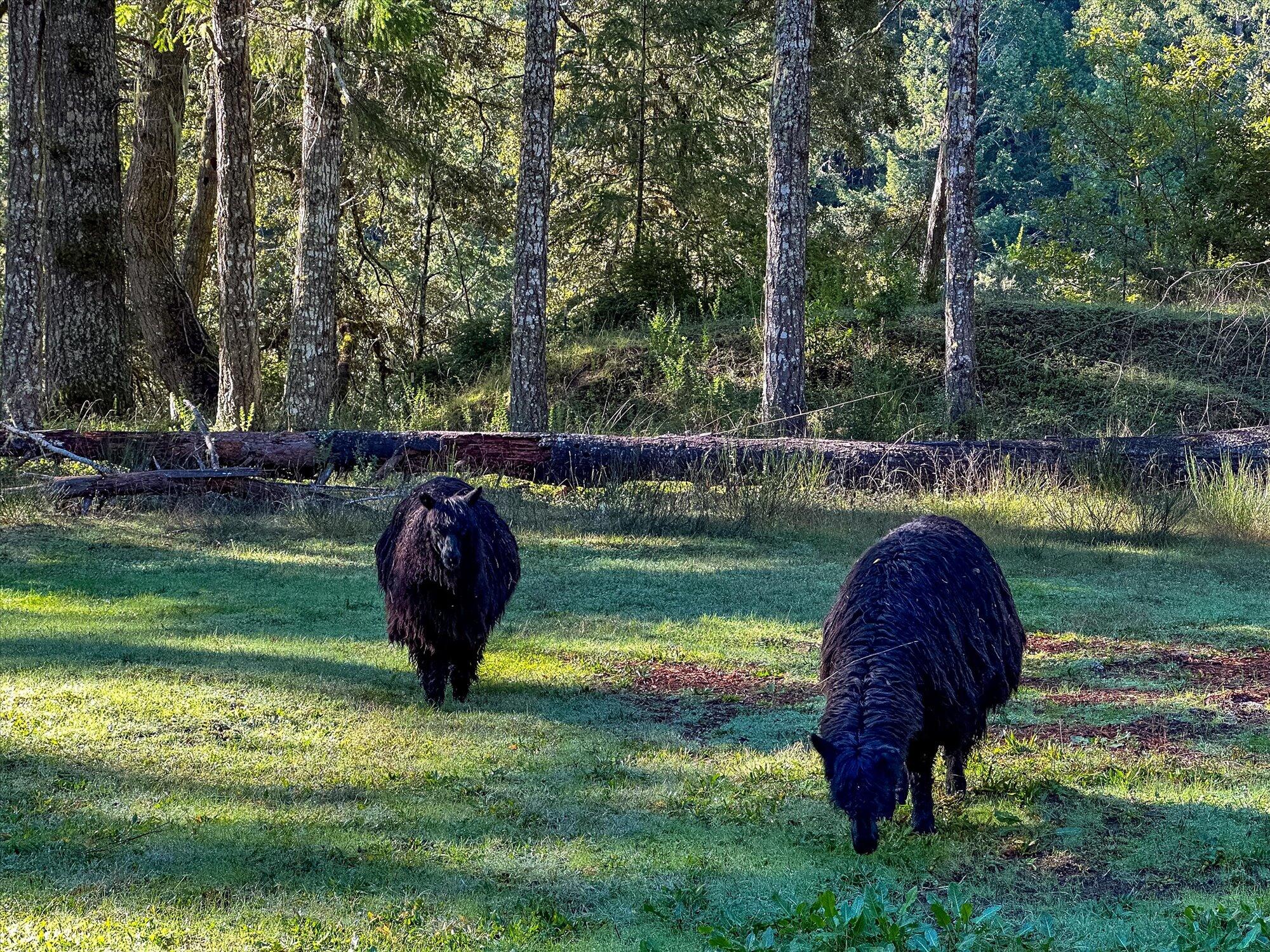 8521 Butler Valley Road