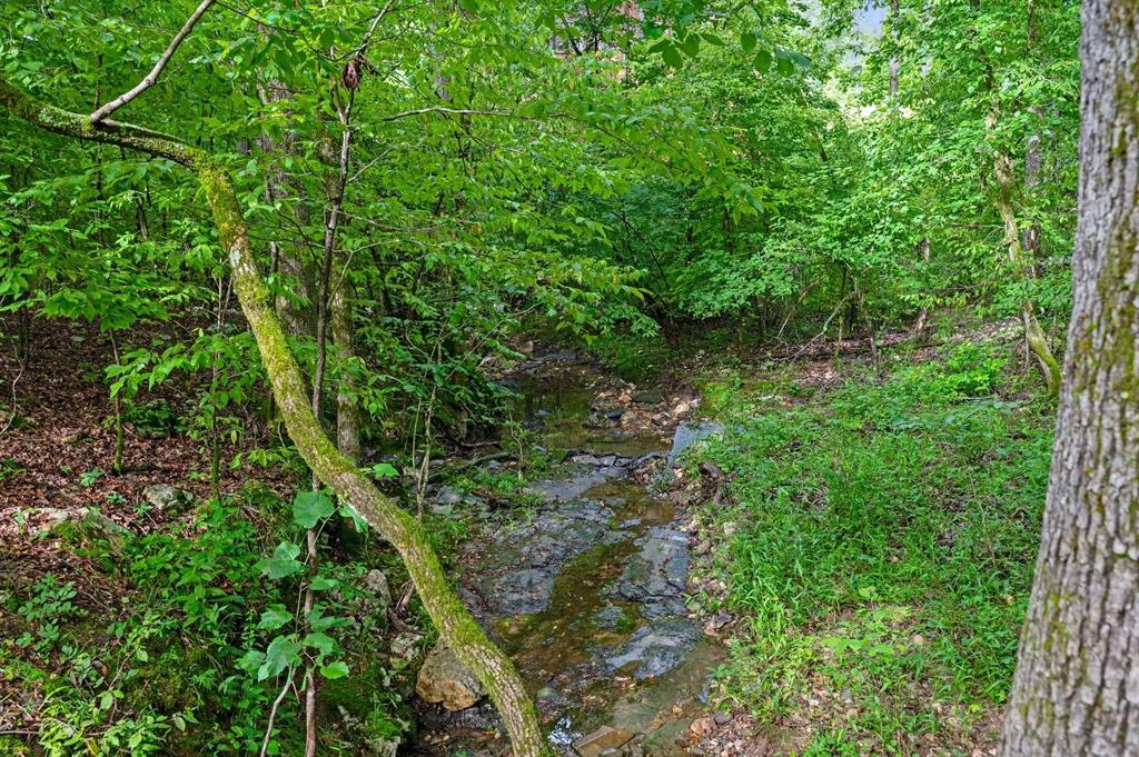 109 Eagle Mountain Trail