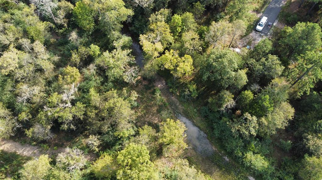 105 Cedar Bluff Trail