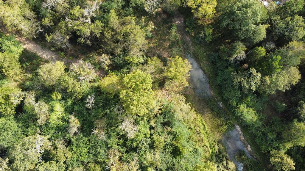 105 Cedar Bluff Trail