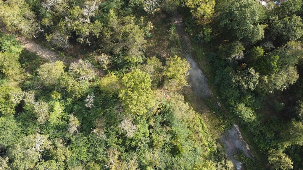 105 Cedar Bluff Trail